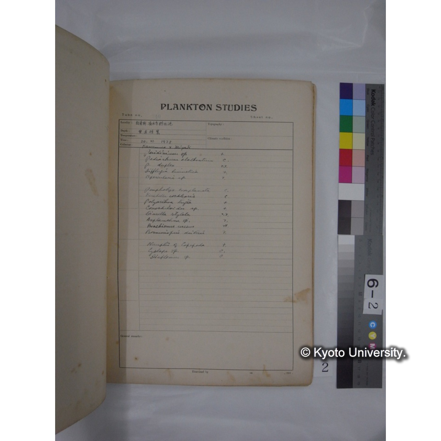 プランクトン標本調査カード (昭和13年,満州調査時採集標本) (2)