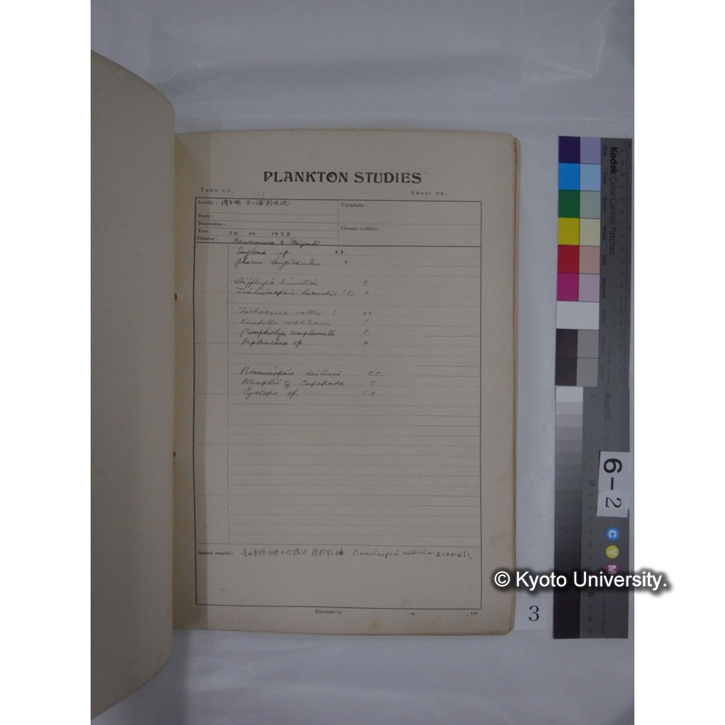 プランクトン標本調査カード (昭和13年,満州調査時採集標本) (3)