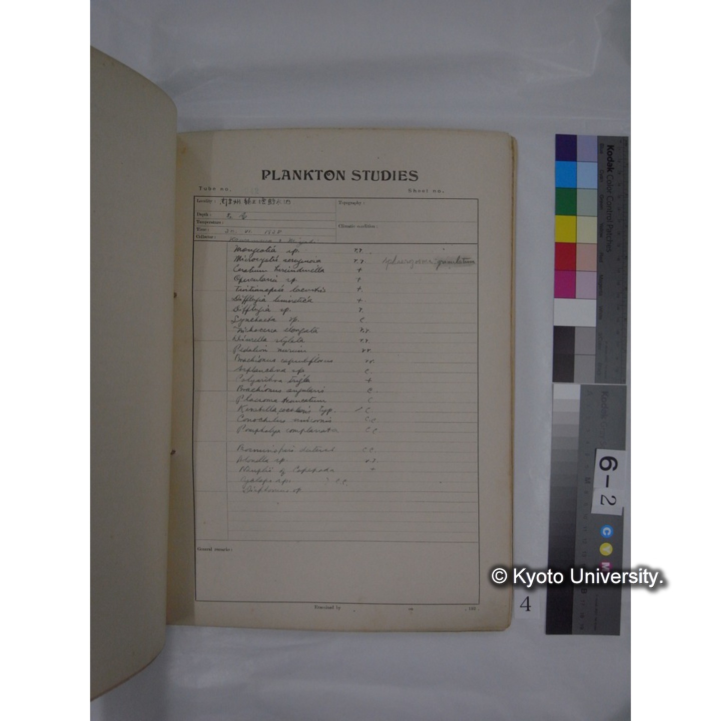 プランクトン標本調査カード (昭和13年,満州調査時採集標本) (4)
