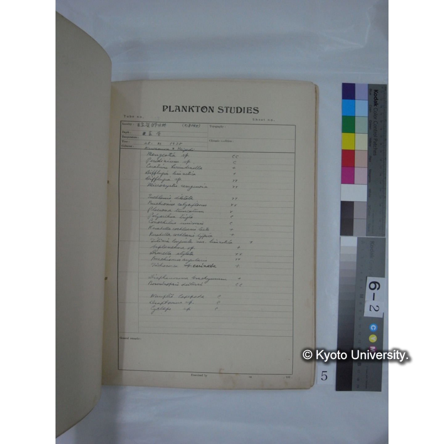 プランクトン標本調査カード (昭和13年,満州調査時採集標本) (5)