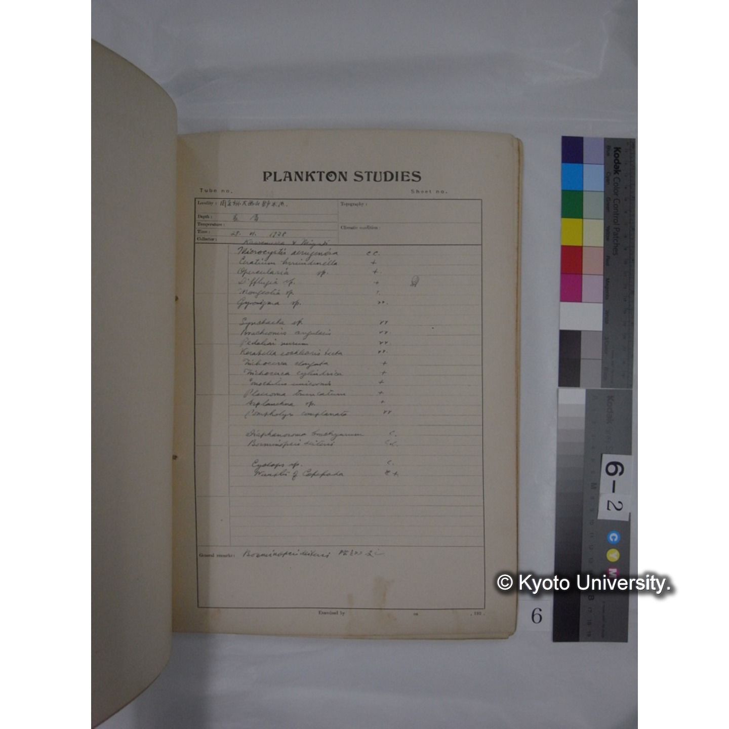 プランクトン標本調査カード (昭和13年,満州調査時採集標本) (6)