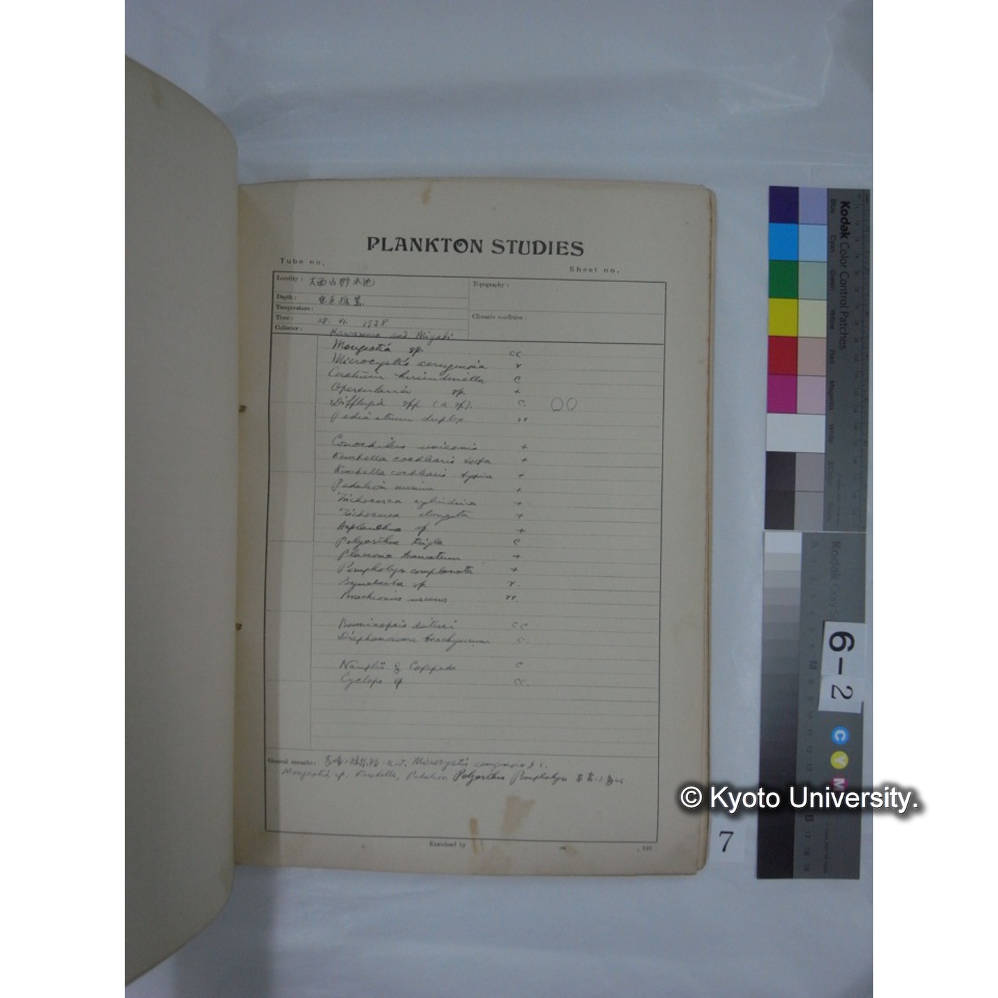 プランクトン標本調査カード (昭和13年,満州調査時採集標本) (7)