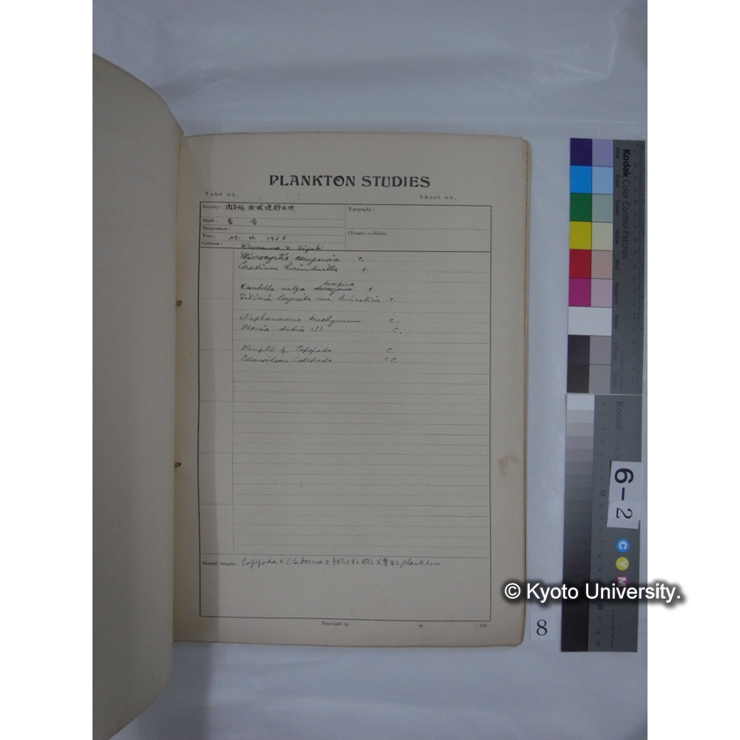 プランクトン標本調査カード (昭和13年,満州調査時採集標本) (8)
