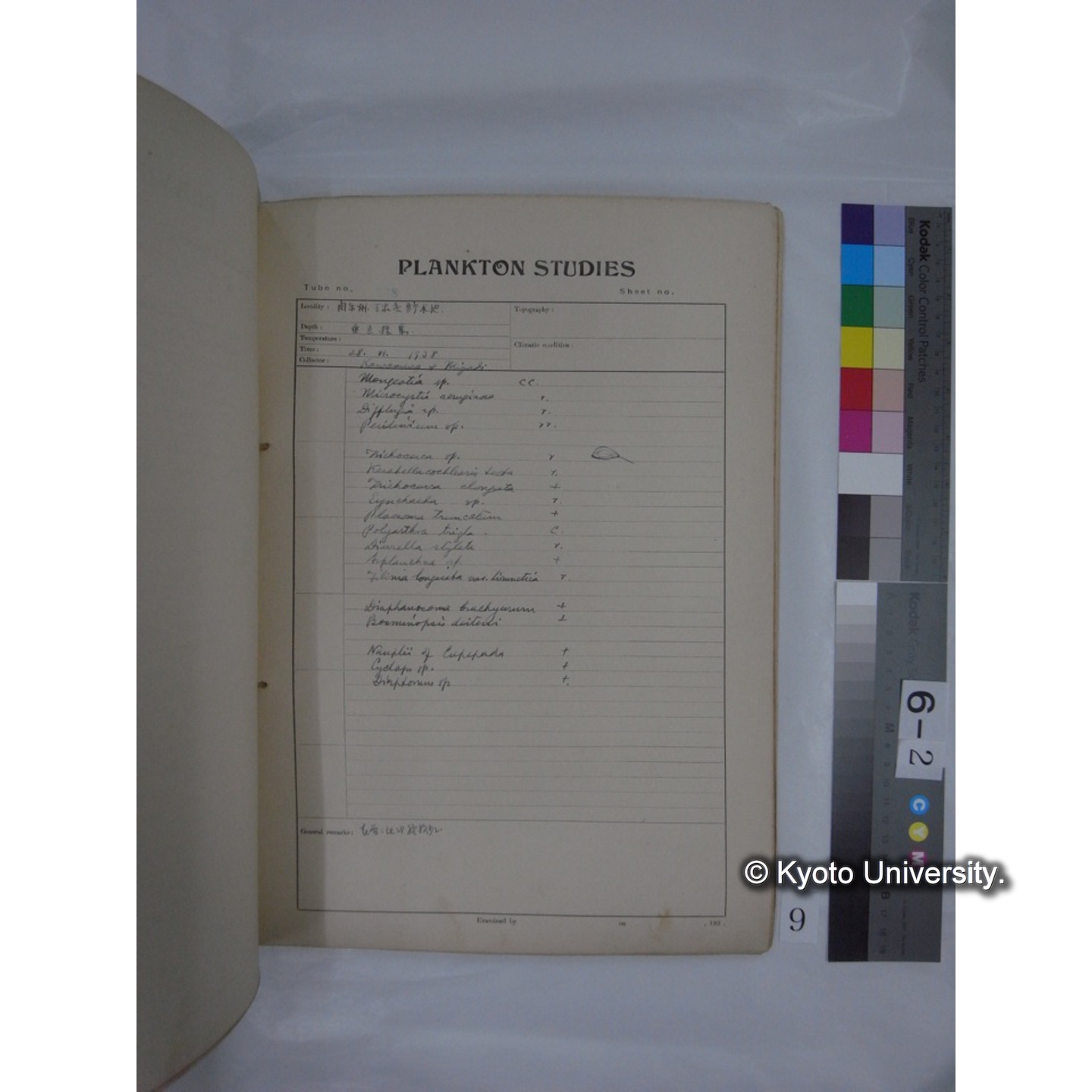 プランクトン標本調査カード (昭和13年,満州調査時採集標本) (9)
