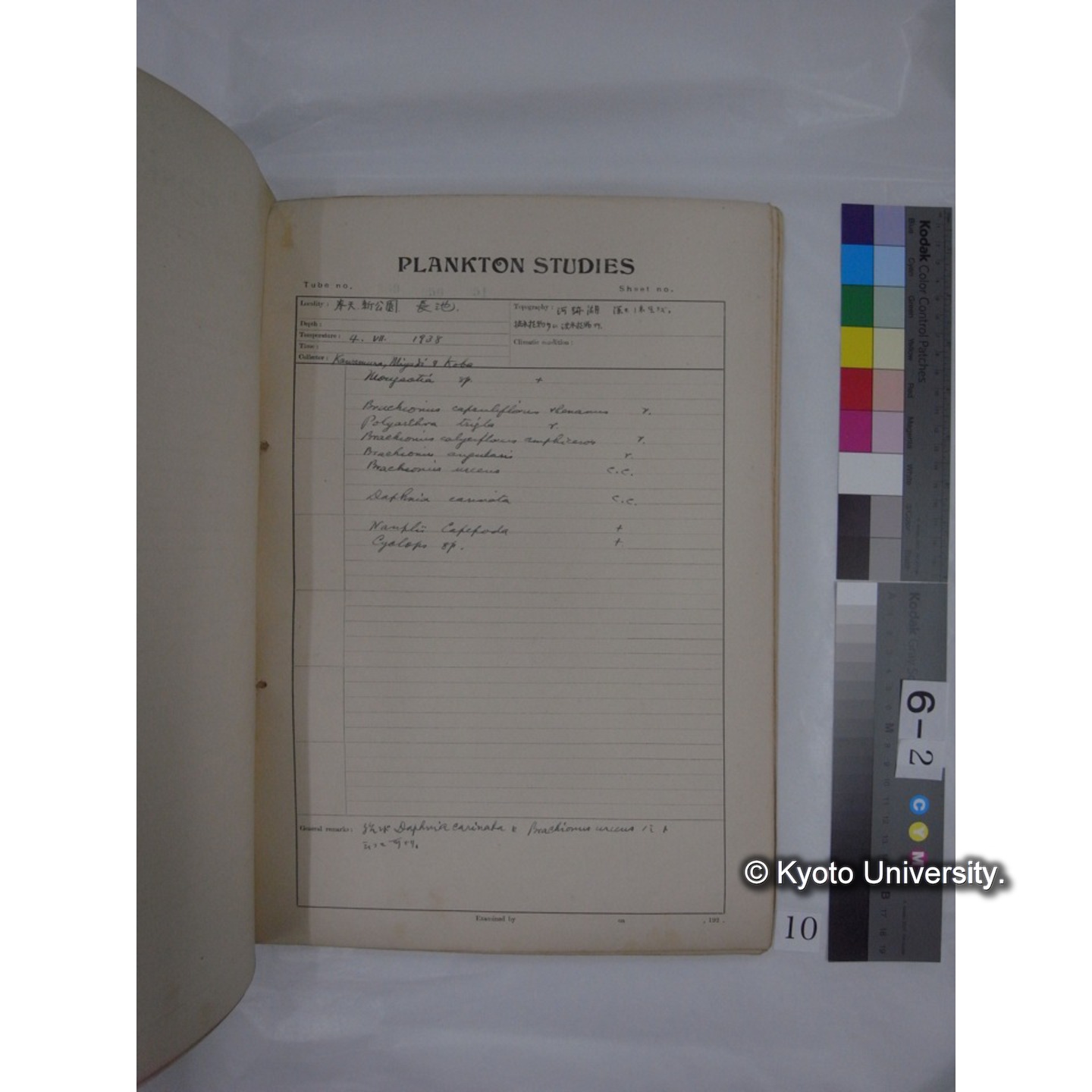プランクトン標本調査カード (昭和13年,満州調査時採集標本) (10)