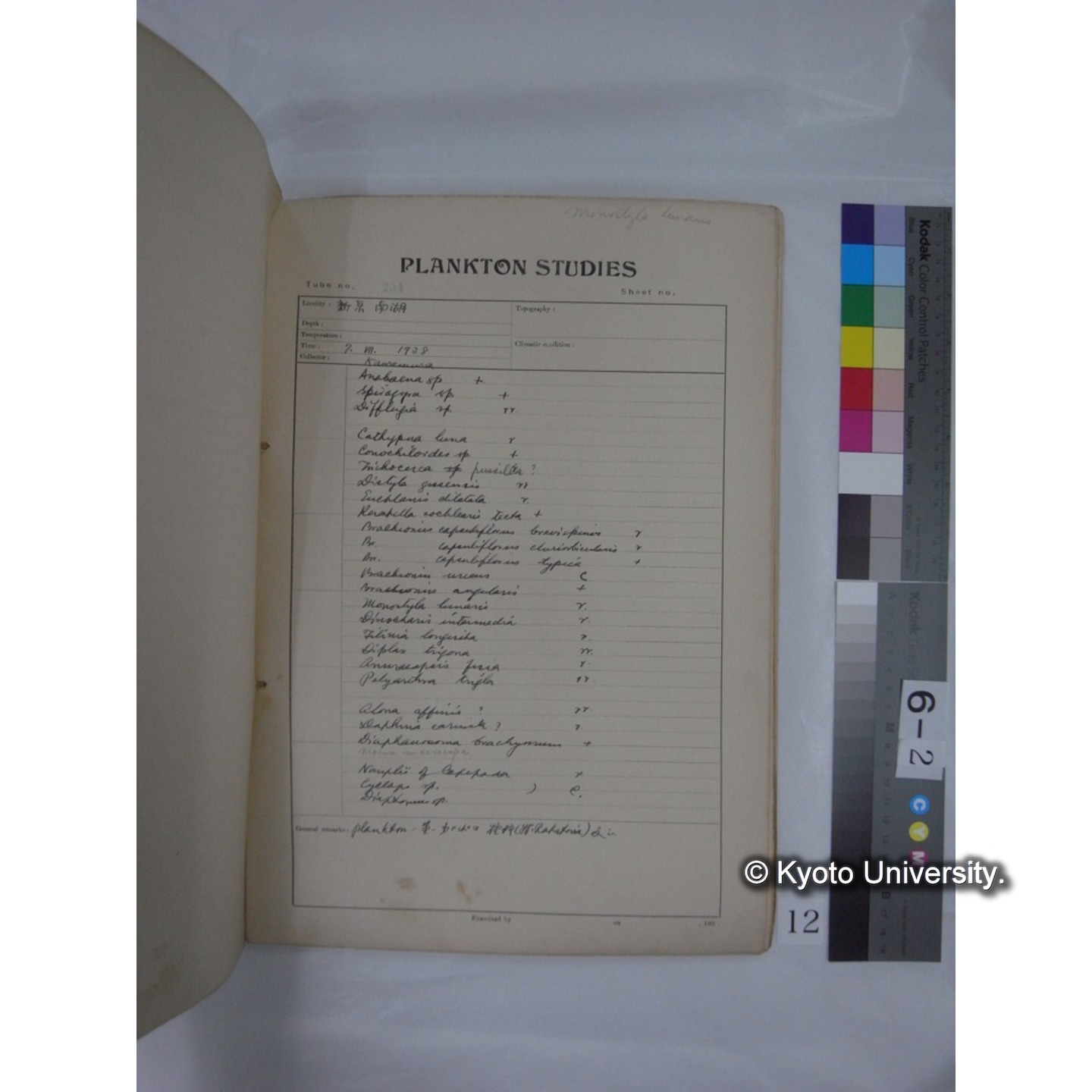 プランクトン標本調査カード (昭和13年,満州調査時採集標本) (12)
