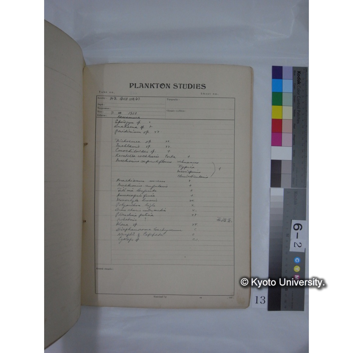 プランクトン標本調査カード (昭和13年,満州調査時採集標本) (13)