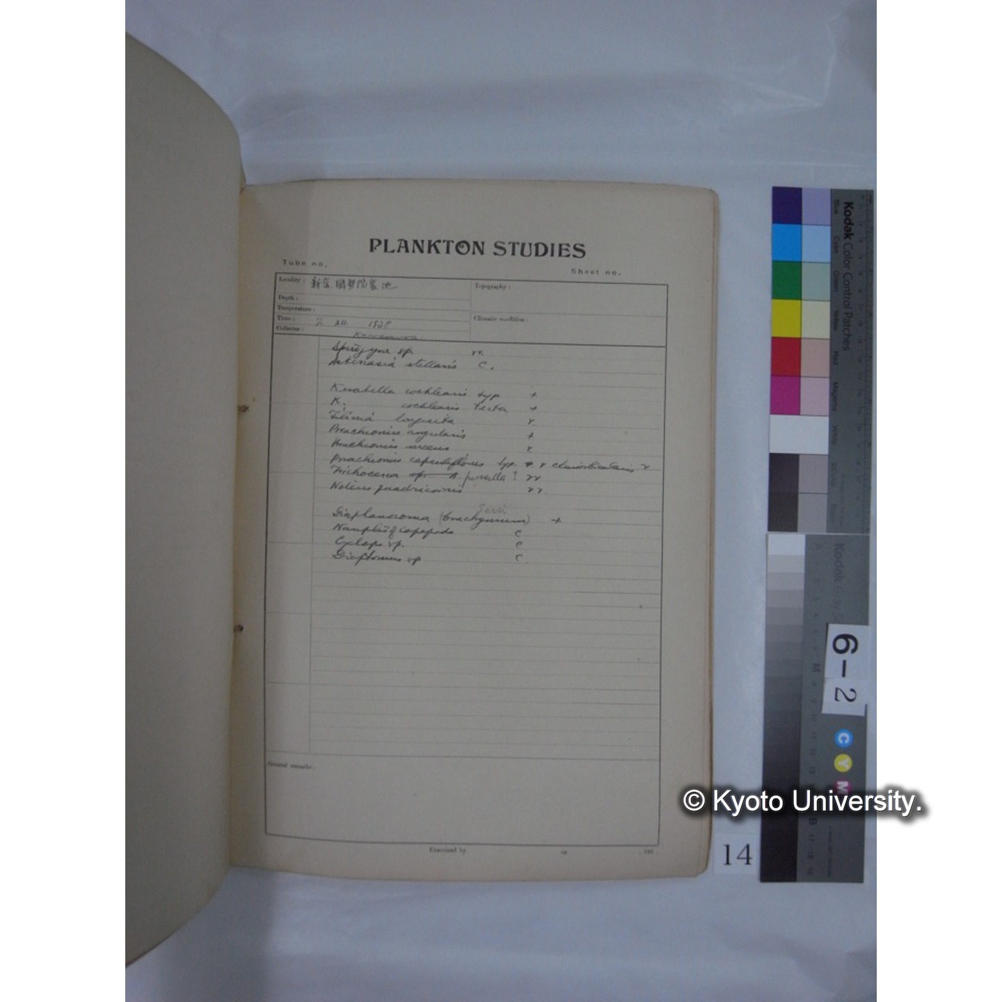 プランクトン標本調査カード (昭和13年,満州調査時採集標本) (14)