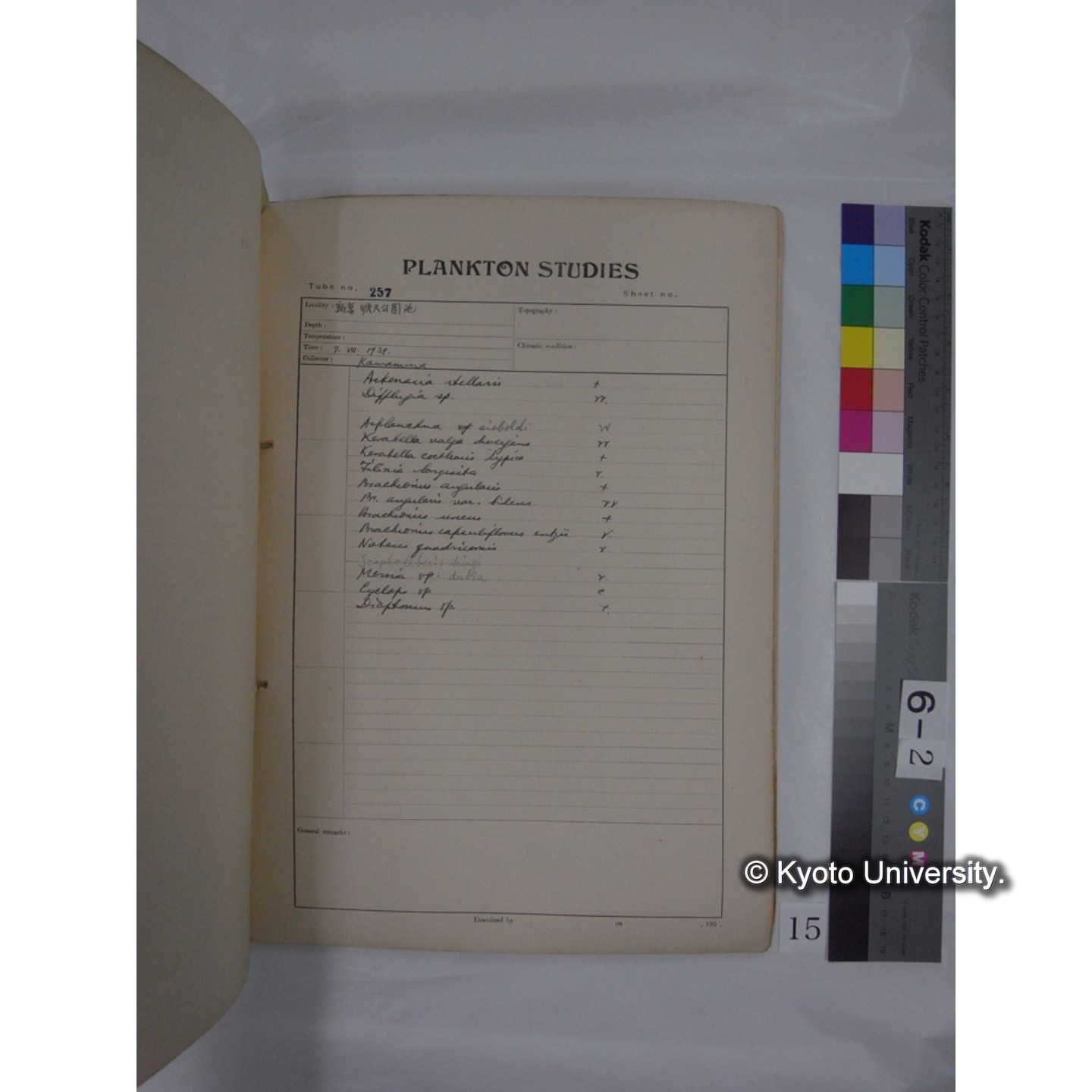 プランクトン標本調査カード (昭和13年,満州調査時採集標本) (15)