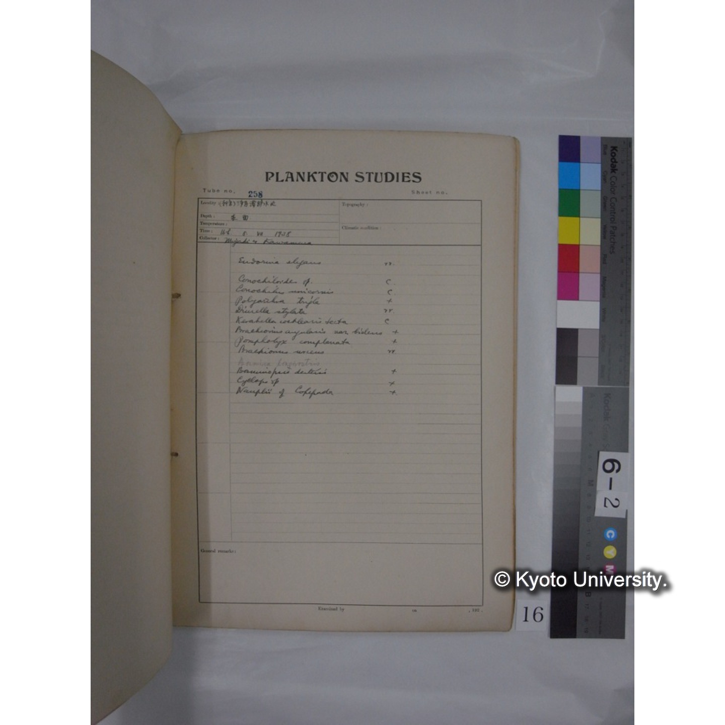 プランクトン標本調査カード (昭和13年,満州調査時採集標本) (16)