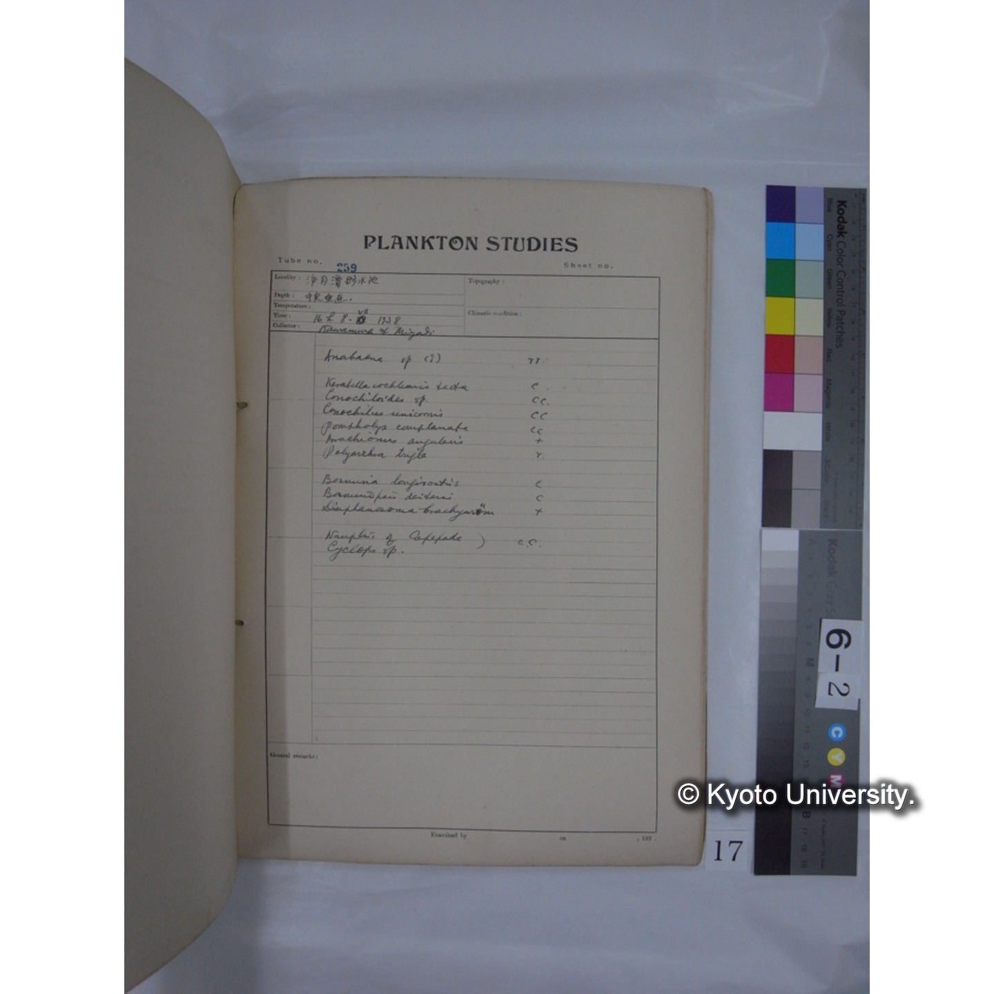 プランクトン標本調査カード (昭和13年,満州調査時採集標本) (17)