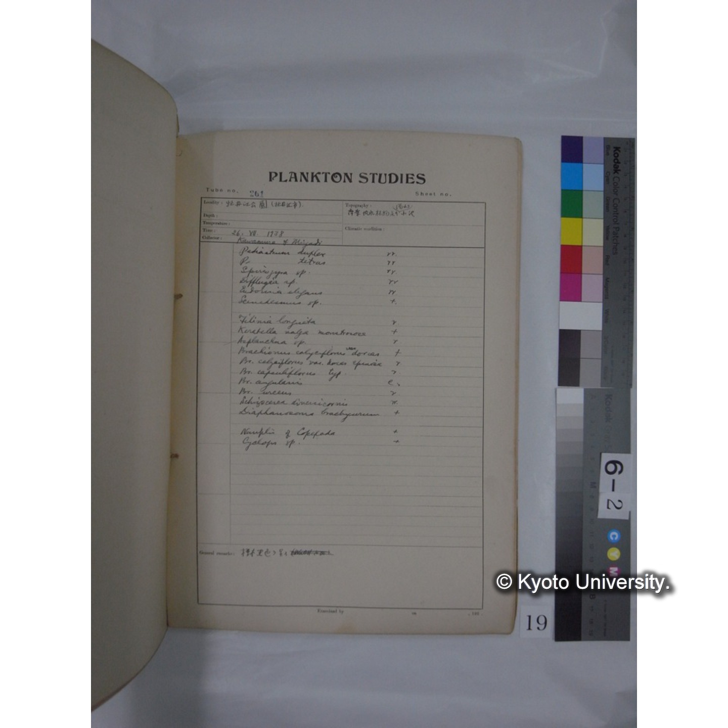 プランクトン標本調査カード (昭和13年,満州調査時採集標本) (19)