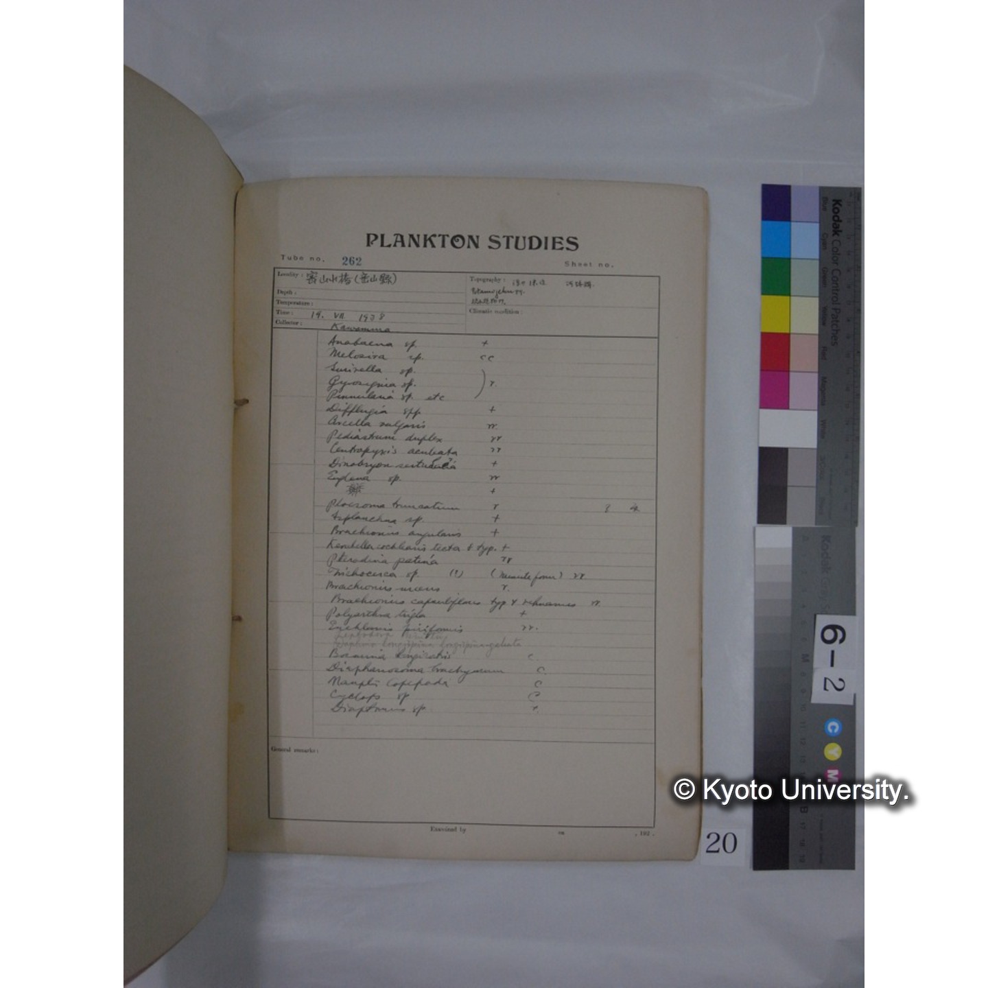 プランクトン標本調査カード (昭和13年,満州調査時採集標本) (20)