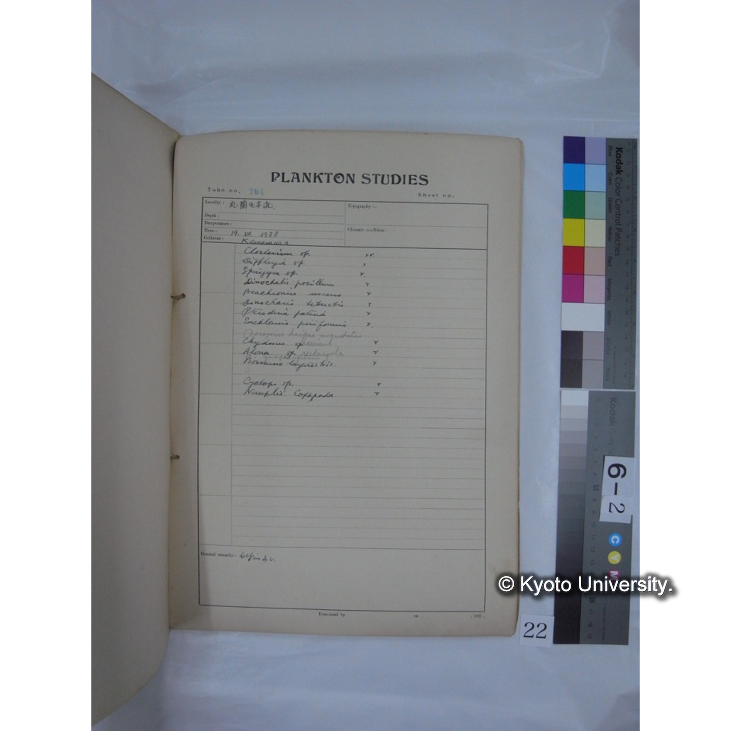 プランクトン標本調査カード (昭和13年,満州調査時採集標本) (22)