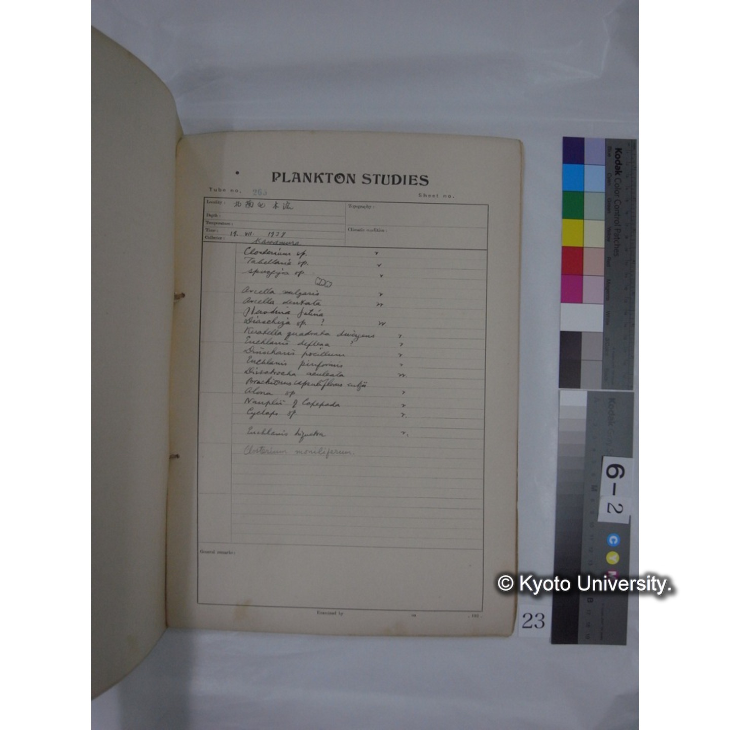 プランクトン標本調査カード (昭和13年,満州調査時採集標本) (23)