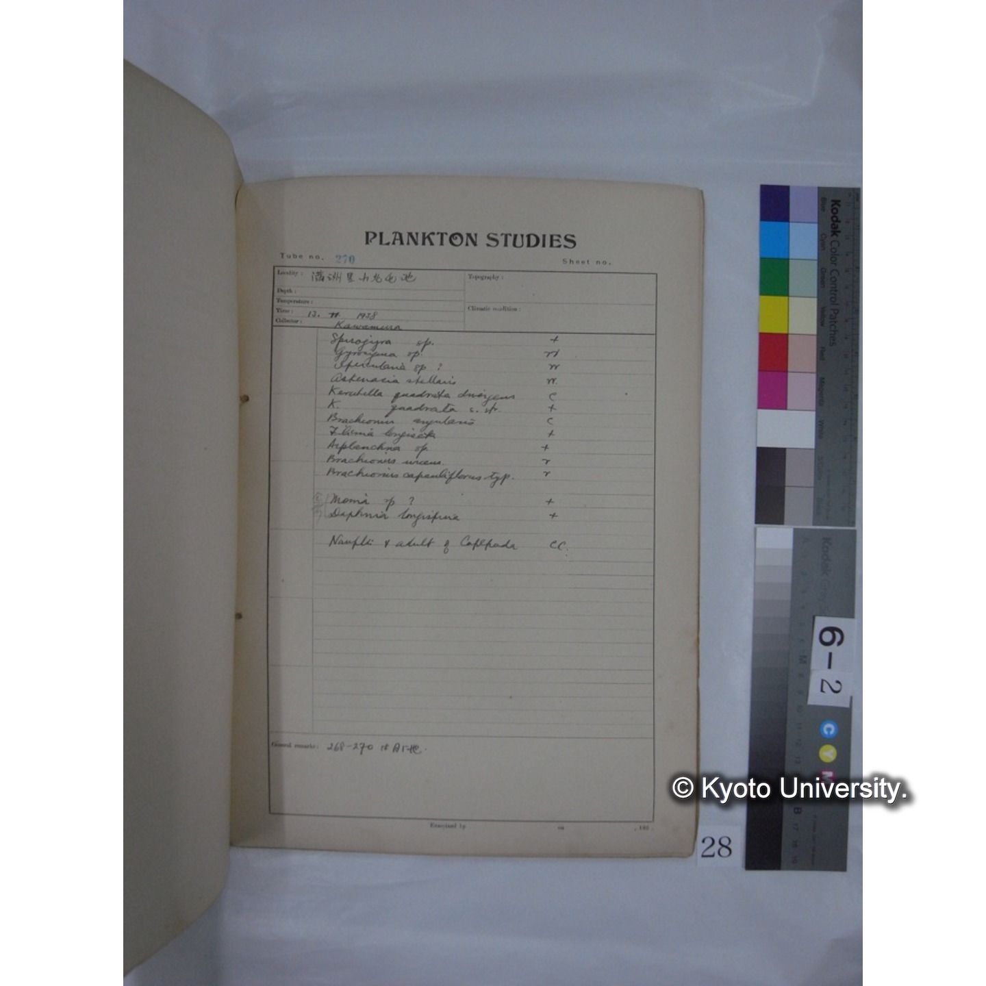 プランクトン標本調査カード (昭和13年,満州調査時採集標本) (28)