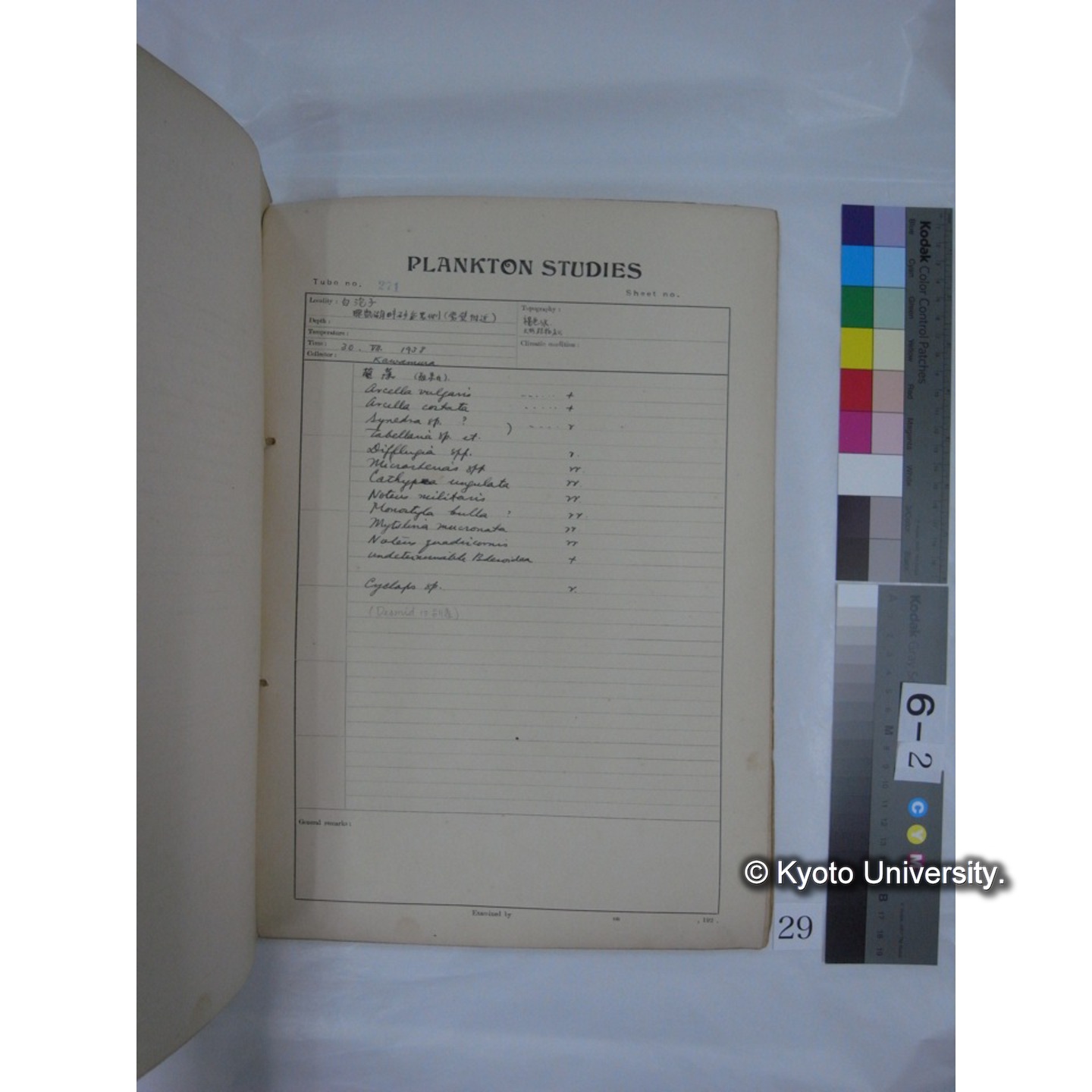 プランクトン標本調査カード (昭和13年,満州調査時採集標本) (29)