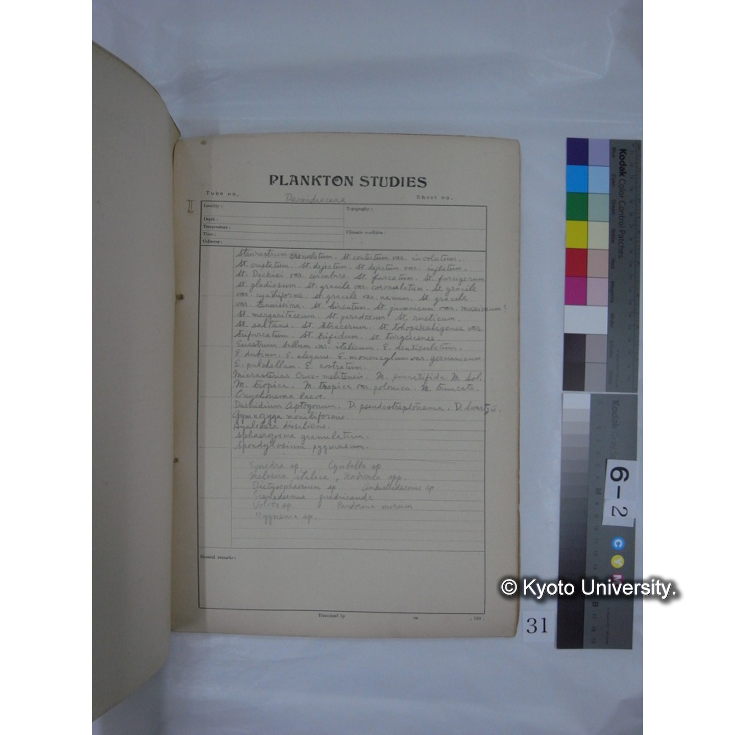 プランクトン標本調査カード (昭和13年,満州調査時採集標本) (31)