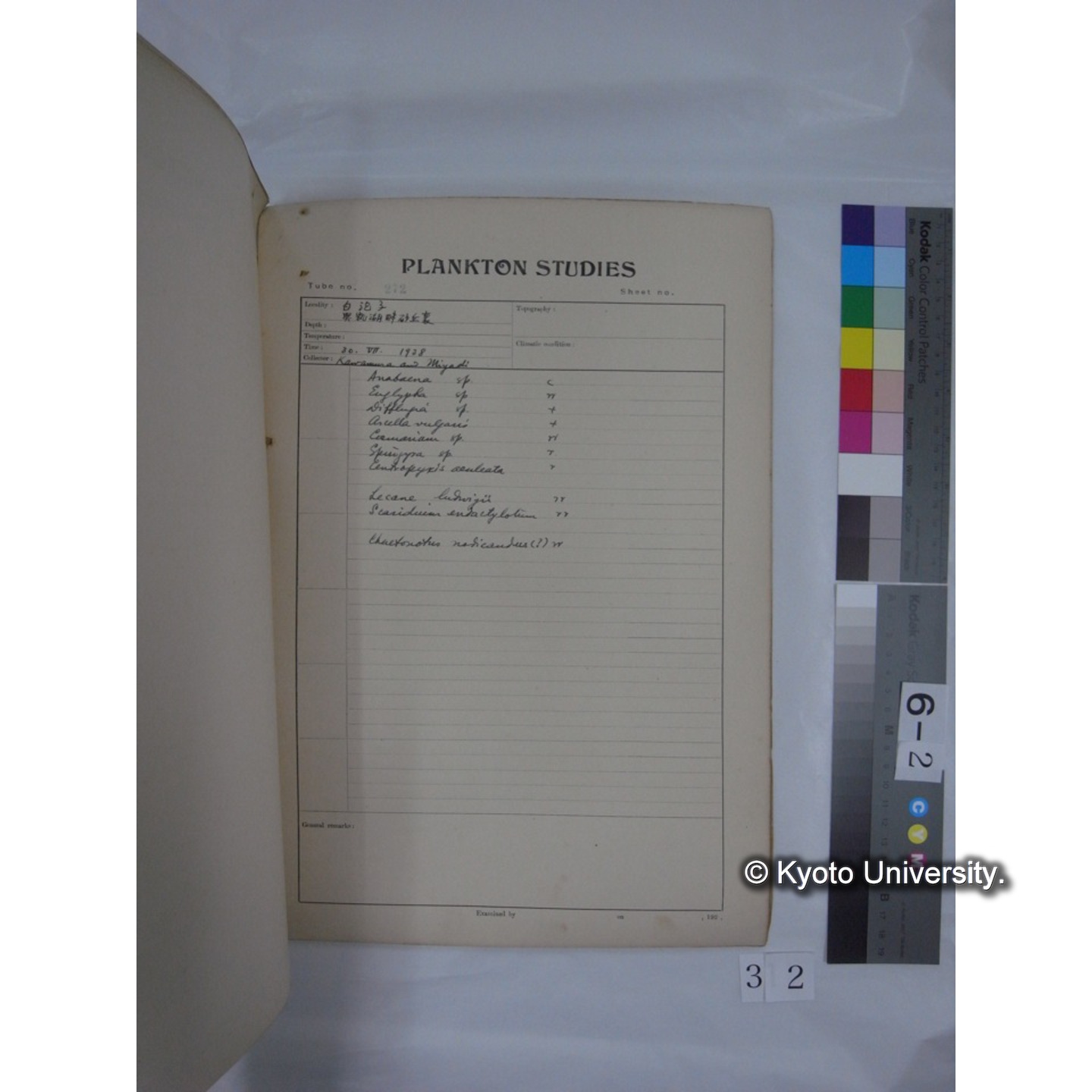 プランクトン標本調査カード (昭和13年,満州調査時採集標本) (32)