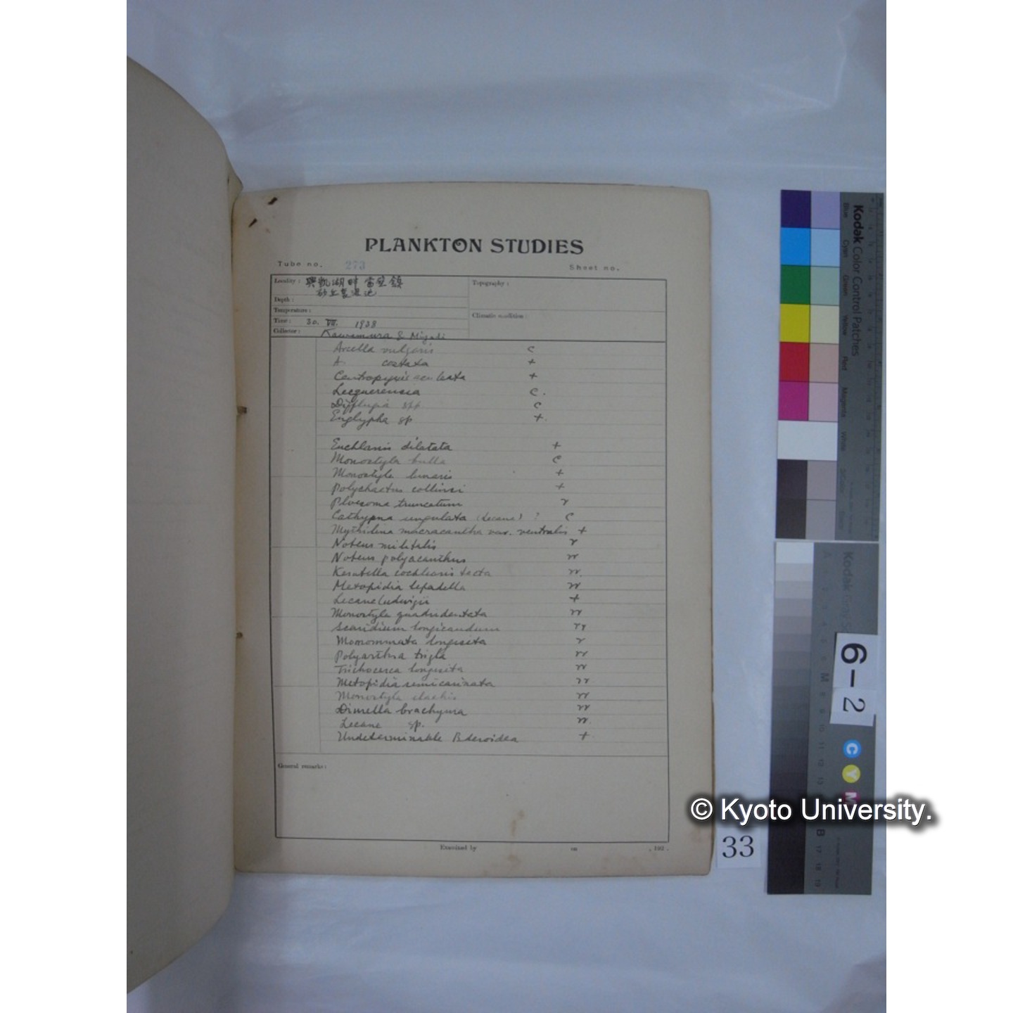 プランクトン標本調査カード (昭和13年,満州調査時採集標本) (33)