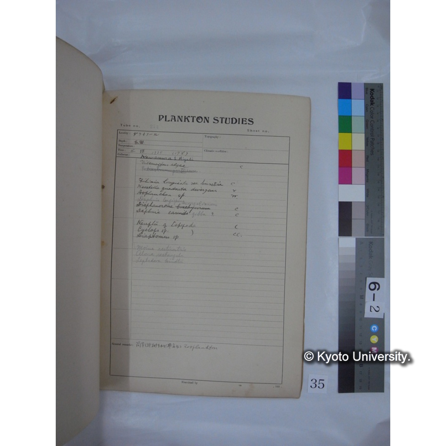 プランクトン標本調査カード (昭和13年,満州調査時採集標本) (35)