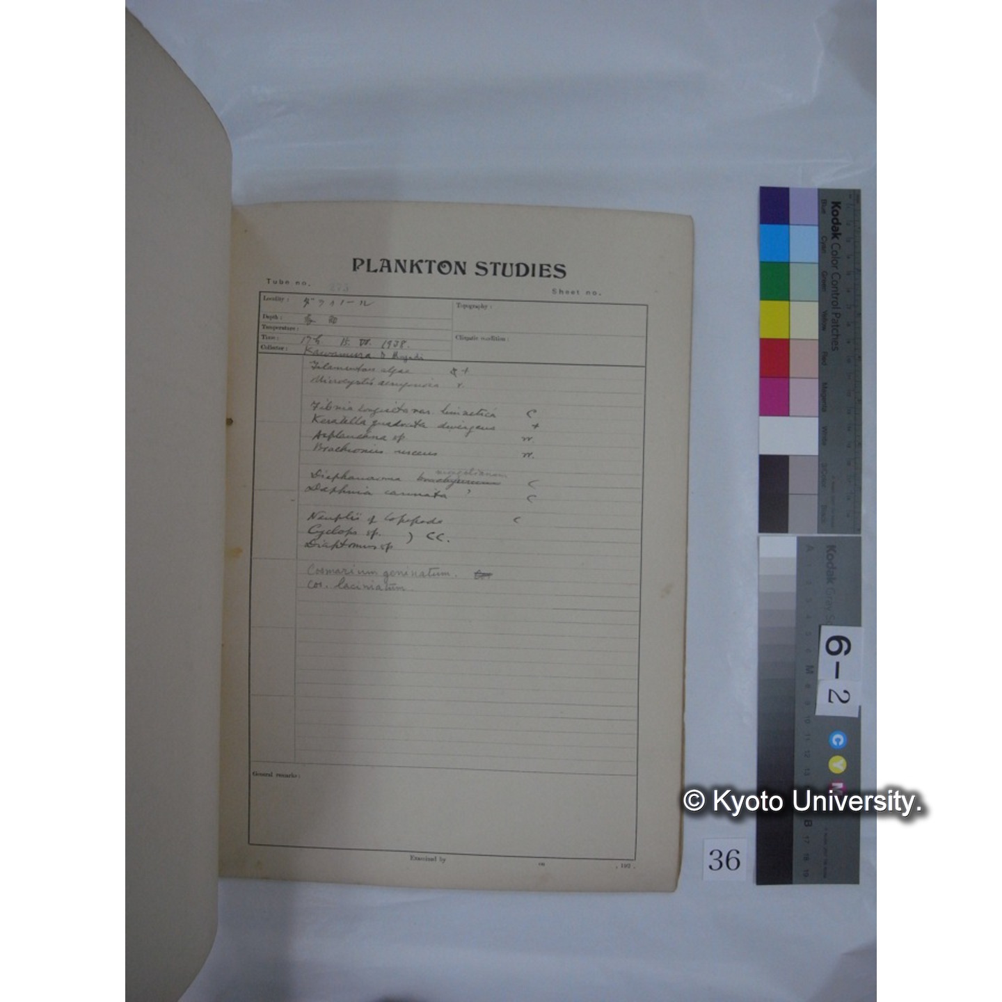 プランクトン標本調査カード (昭和13年,満州調査時採集標本) (36)