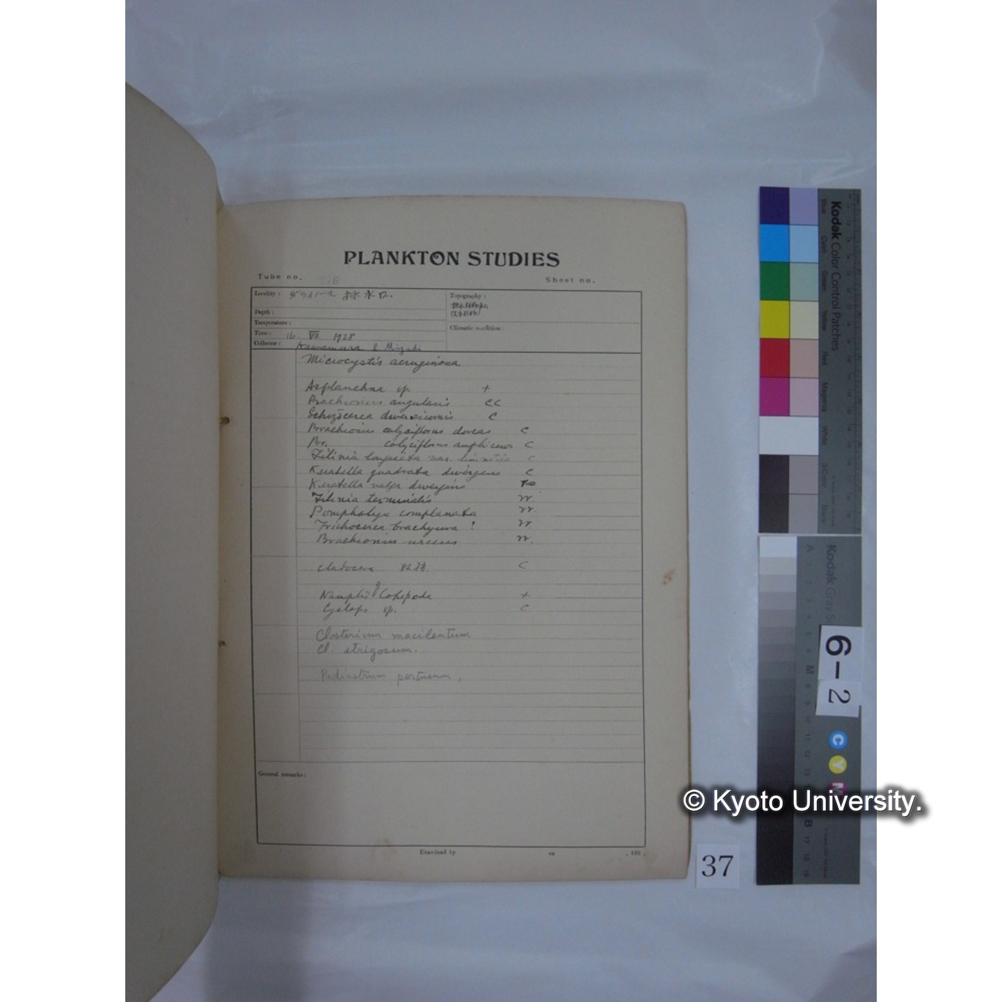 プランクトン標本調査カード (昭和13年,満州調査時採集標本) (37)