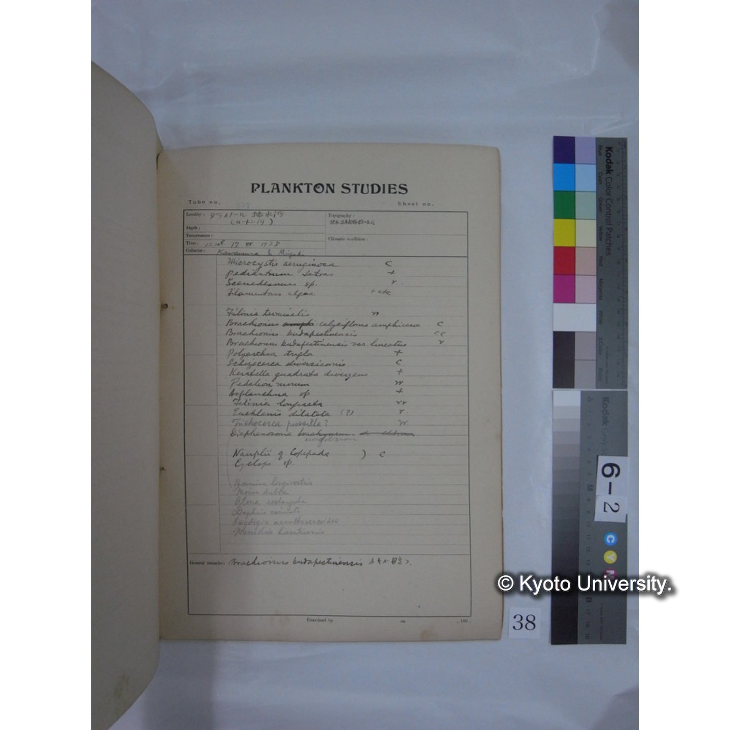 プランクトン標本調査カード (昭和13年,満州調査時採集標本) (38)