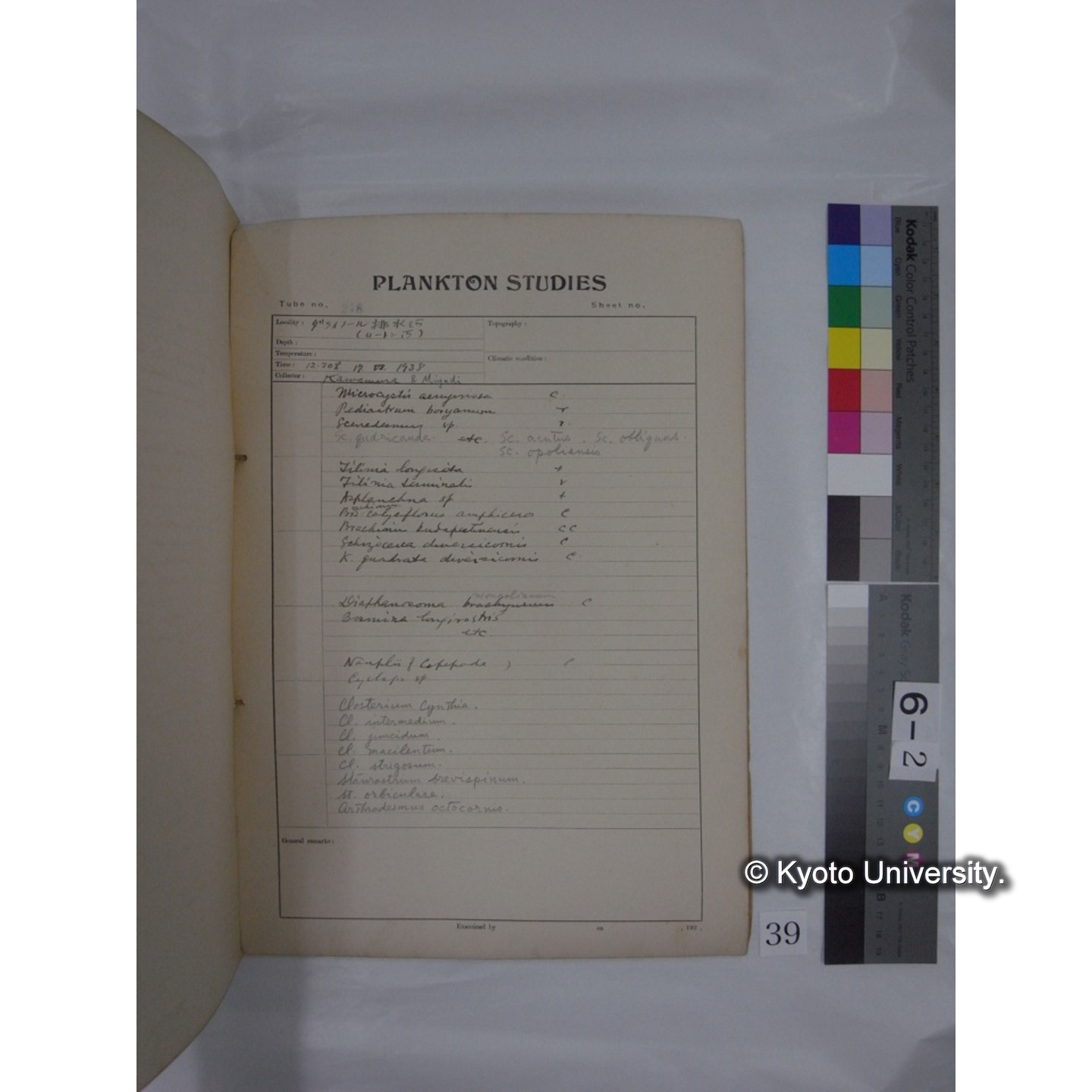 プランクトン標本調査カード (昭和13年,満州調査時採集標本) (39)