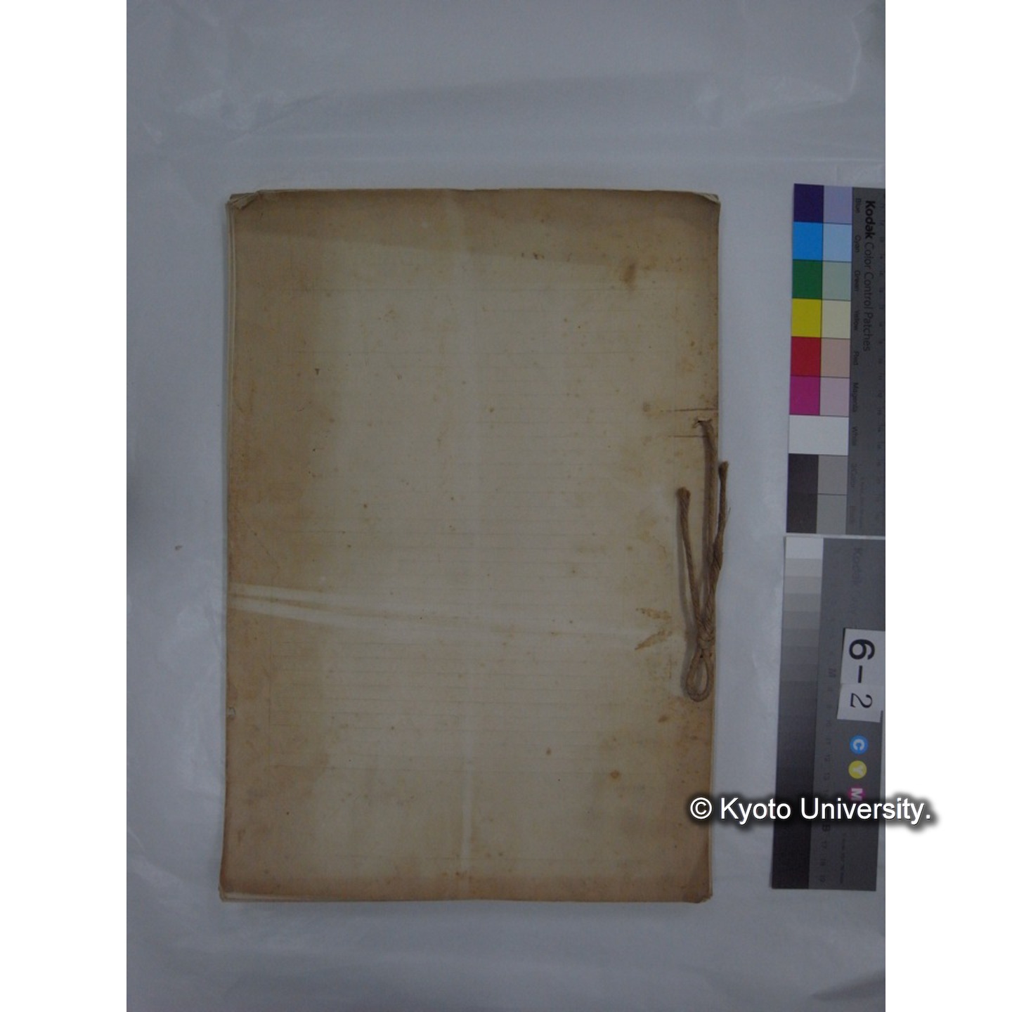 プランクトン標本調査カード (昭和13年,満州調査時採集標本) (53)