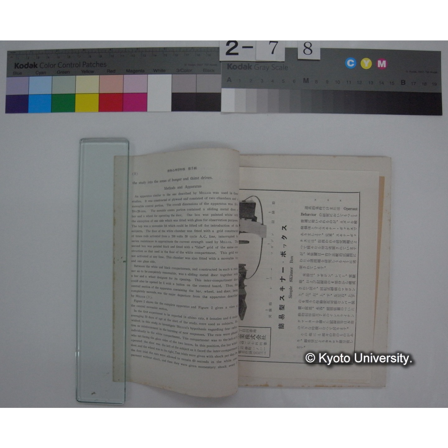 動物心理学年報 第5輯 / 動物心理學會編 (5)