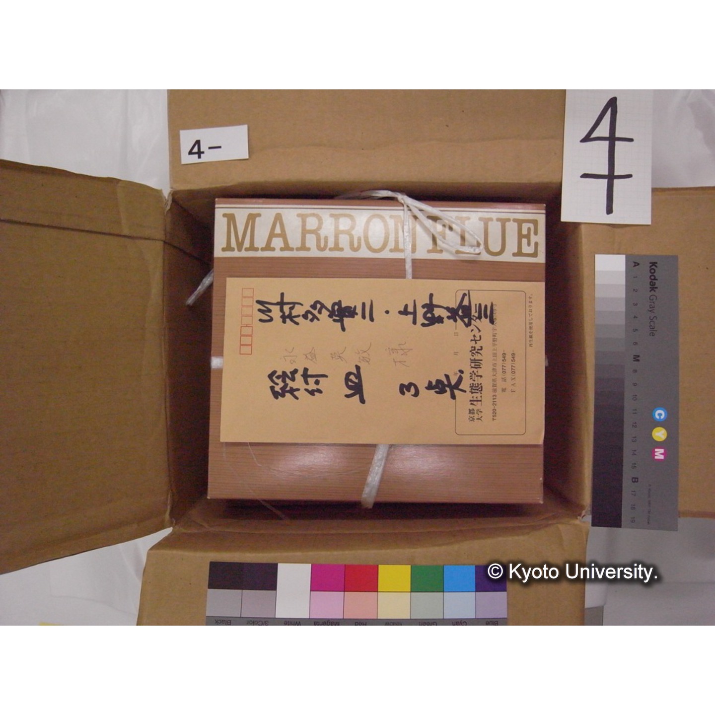 陶磁器(段ボール箱側面にペン「上野先生/川村先生/やきもの/われもの」とあり) (2)