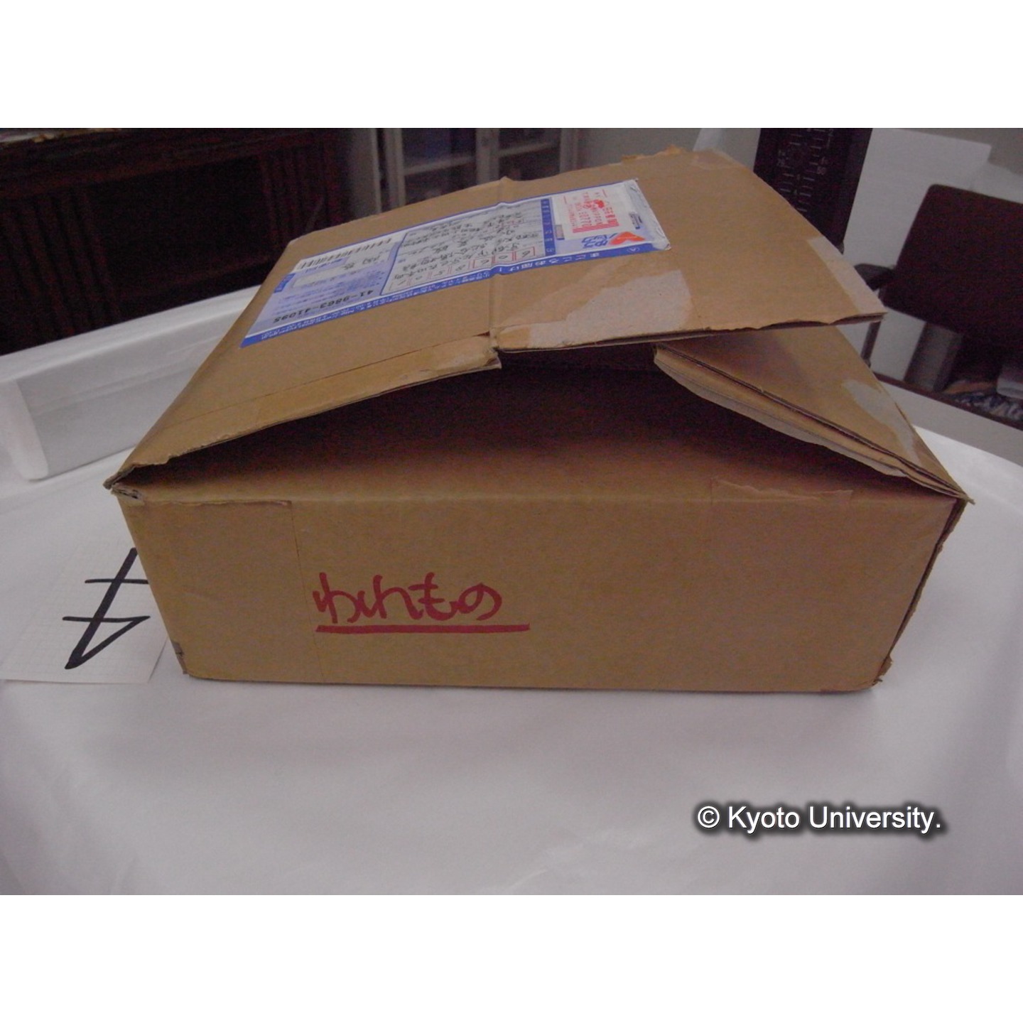 陶磁器(段ボール箱側面にペン「上野先生/川村先生/やきもの/われもの」とあり) (13)