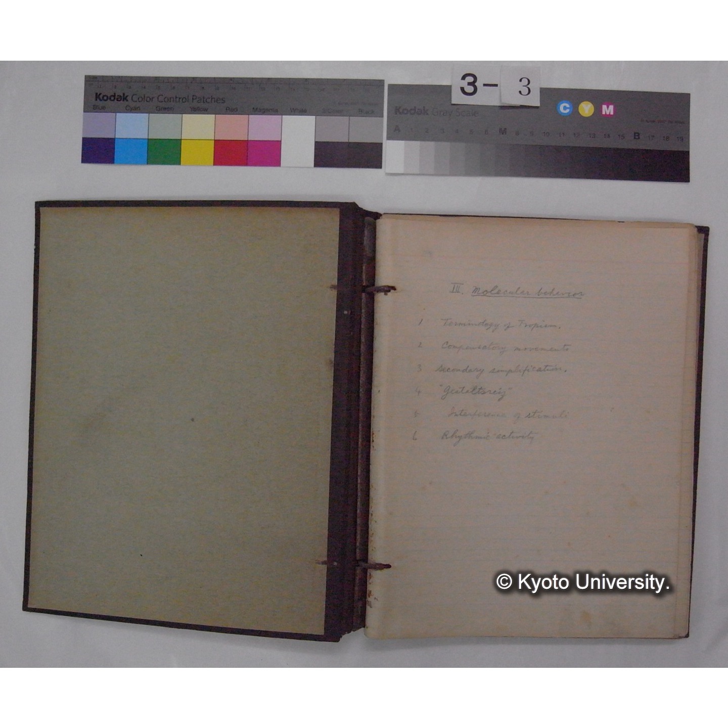 (動物心理学) [直筆原稿] / (川村多實二) (2)