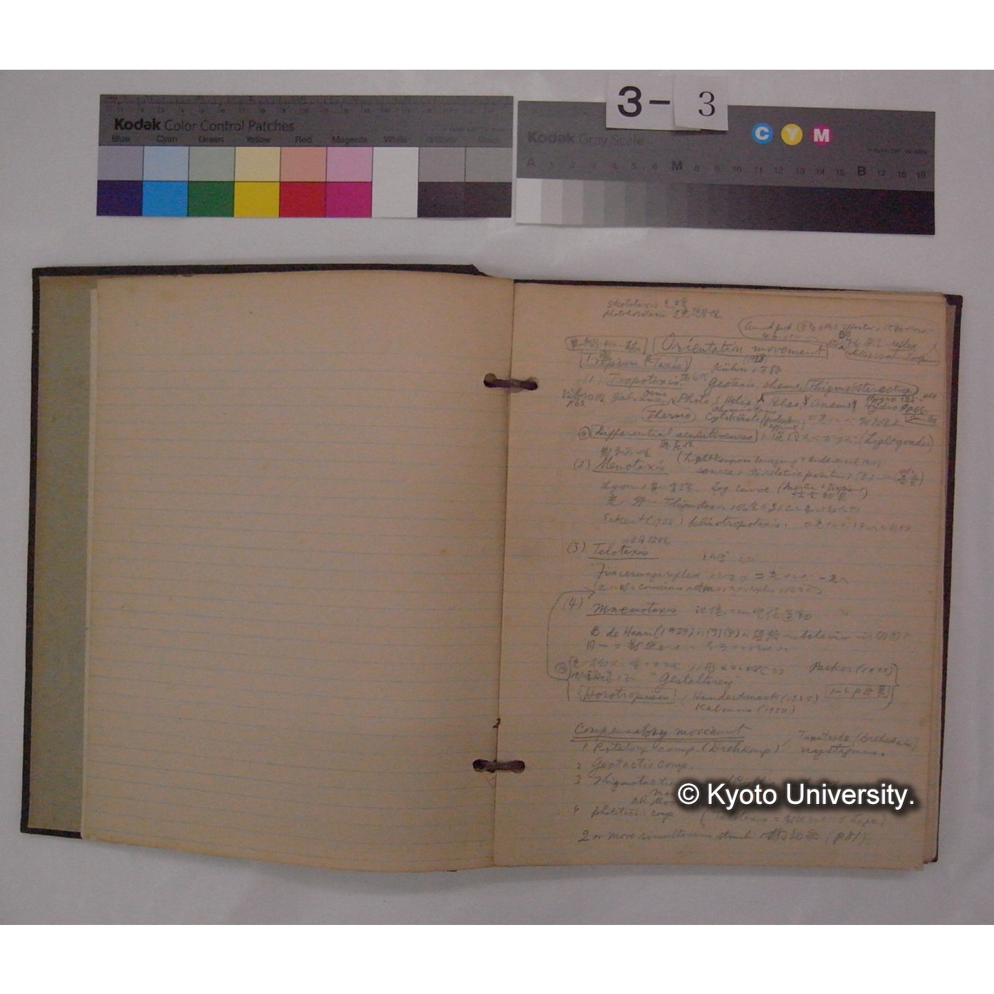 (動物心理学) [直筆原稿] / (川村多實二) (3)