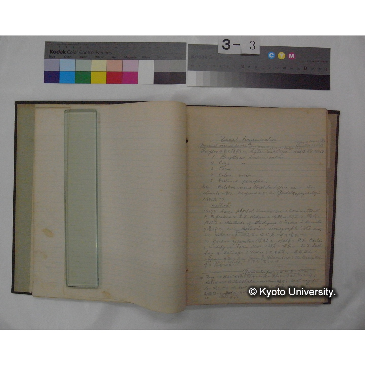 (動物心理学) [直筆原稿] / (川村多實二) (5)