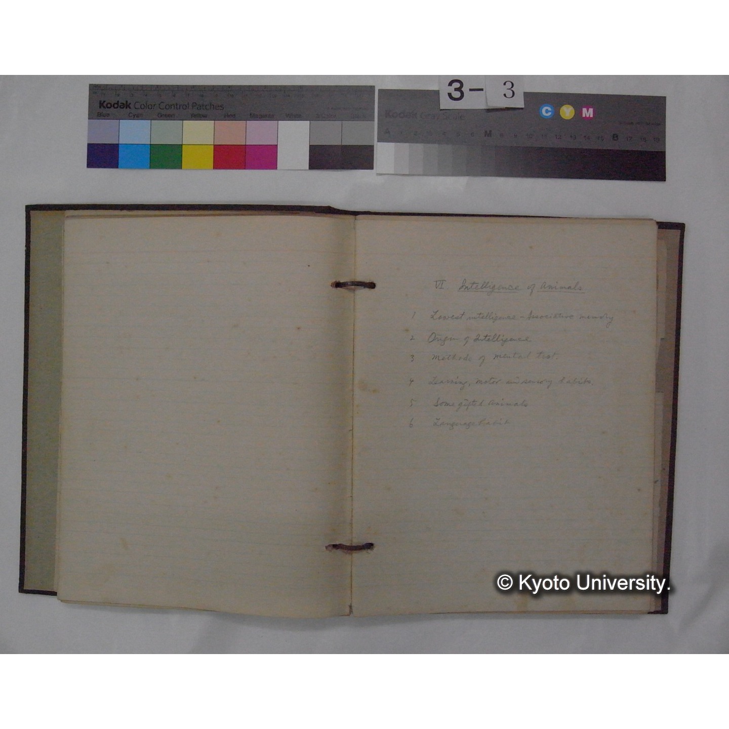 (動物心理学) [直筆原稿] / (川村多實二) (7)