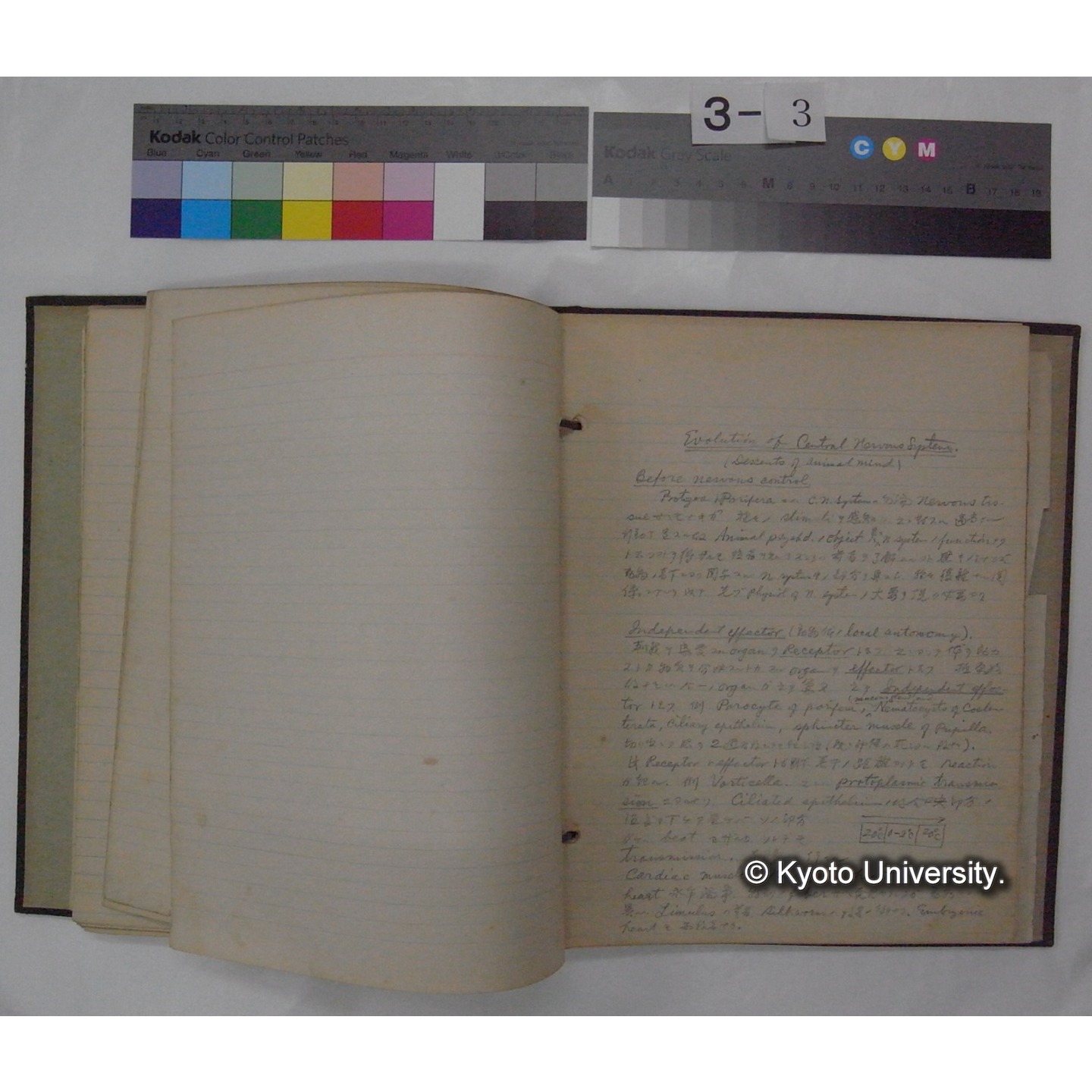 (動物心理学) [直筆原稿] / (川村多實二) (10)