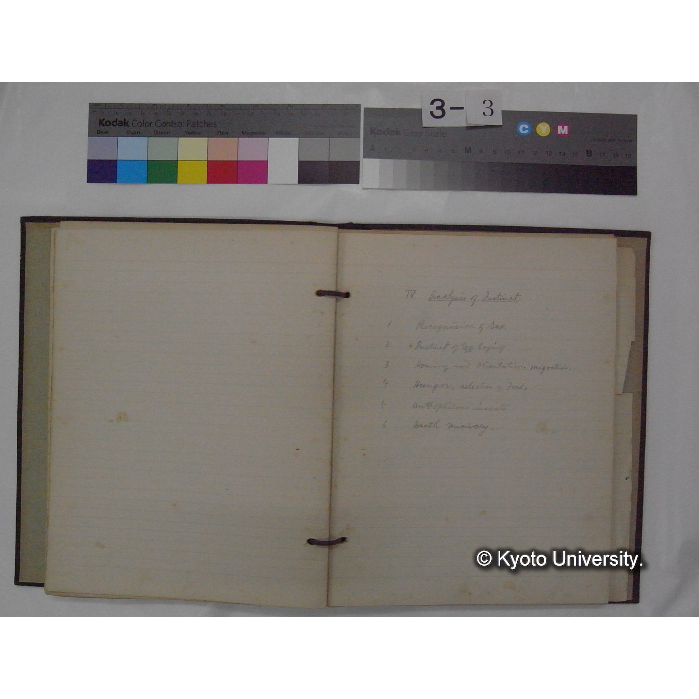 (動物心理学) [直筆原稿] / (川村多實二) (11)