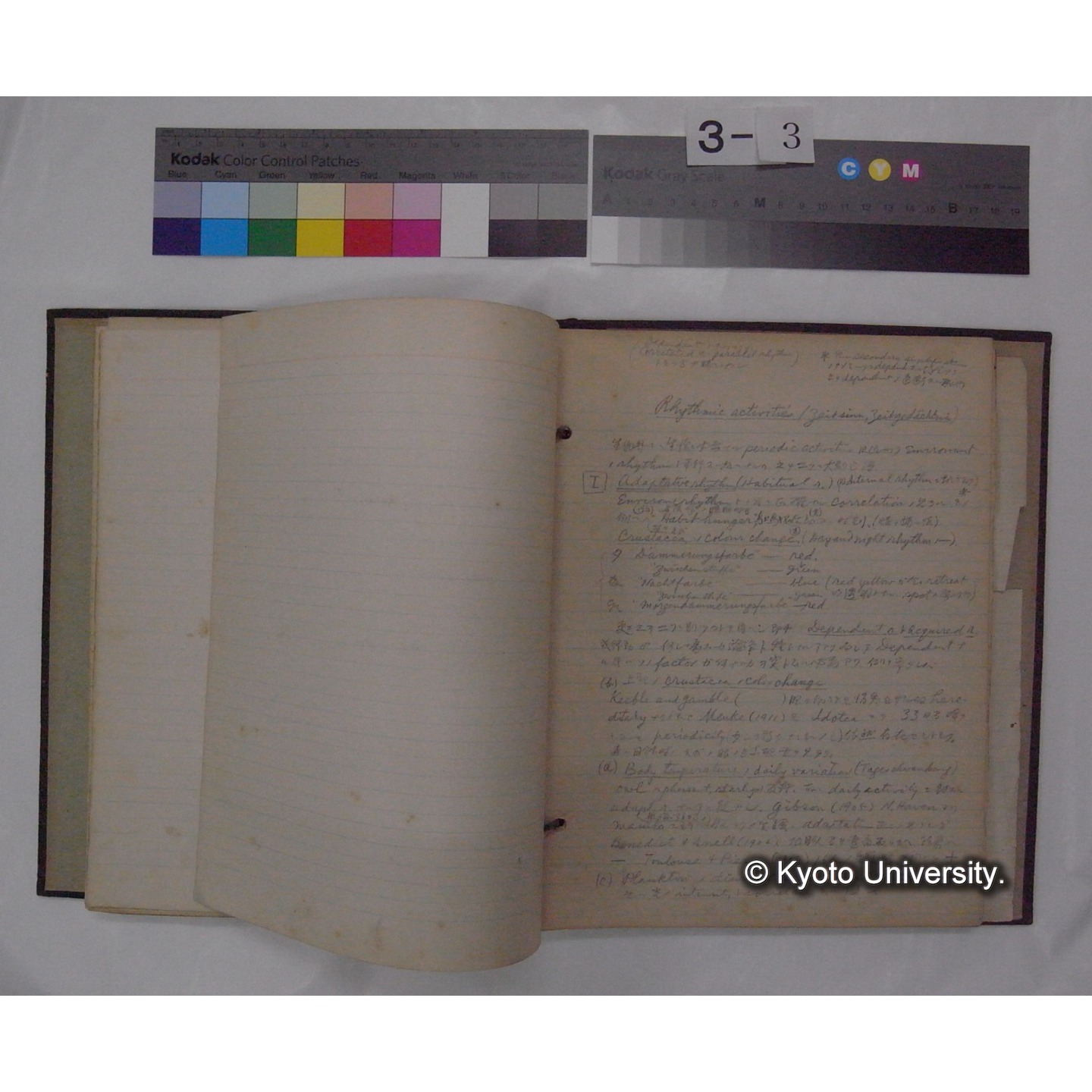 (動物心理学) [直筆原稿] / (川村多實二) (12)