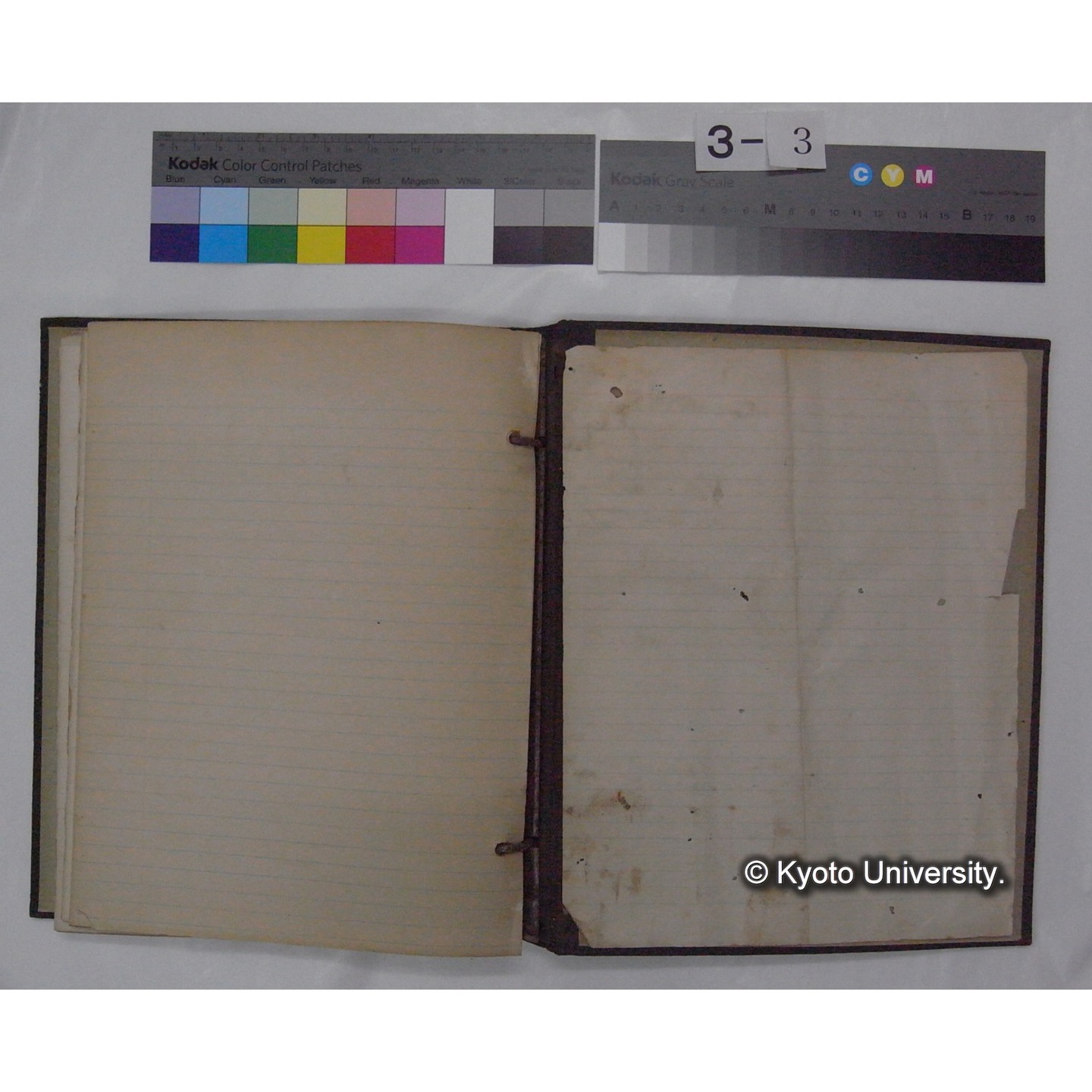 (動物心理学) [直筆原稿] / (川村多實二) (13)