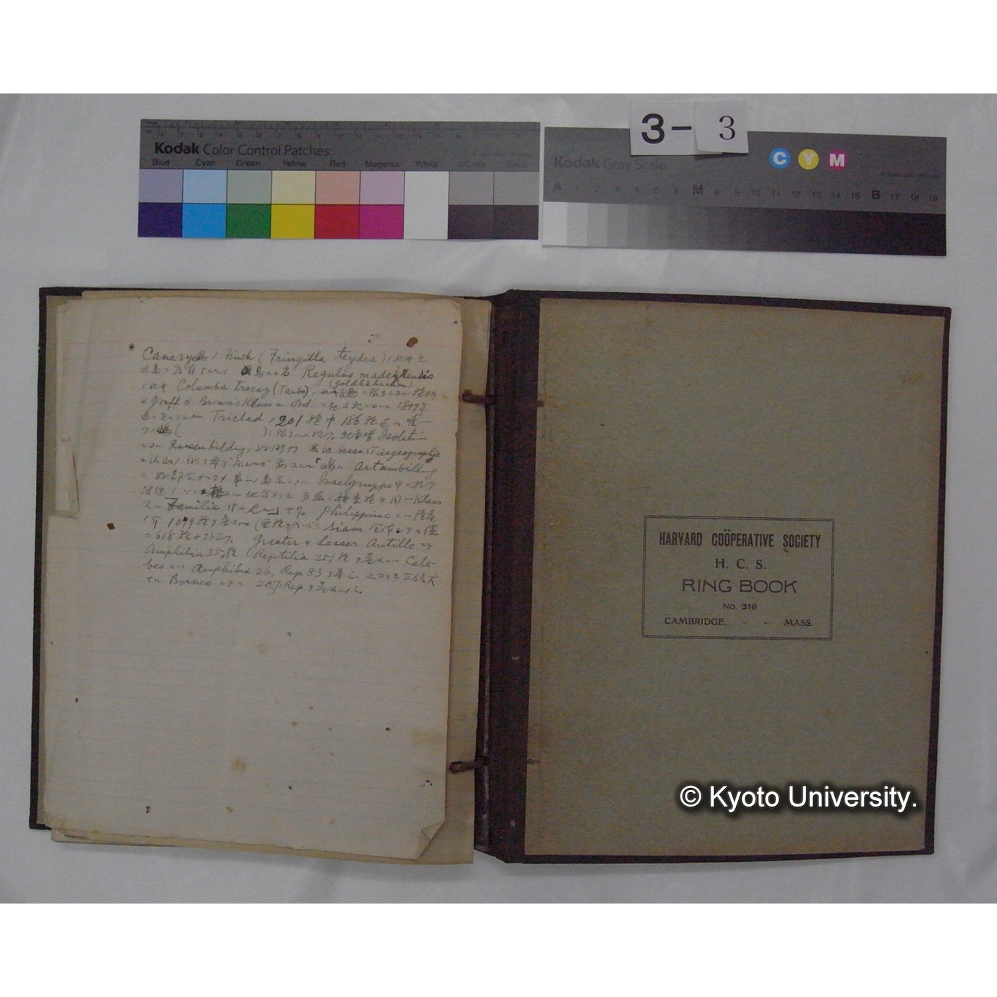 (動物心理学) [直筆原稿] / (川村多實二) (14)