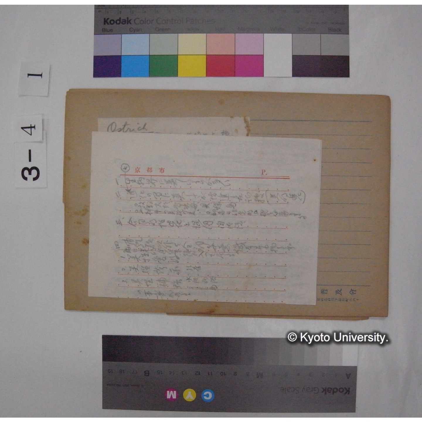 Aberrant habitat in Birds [直筆原稿] / (川村多實二) (2)