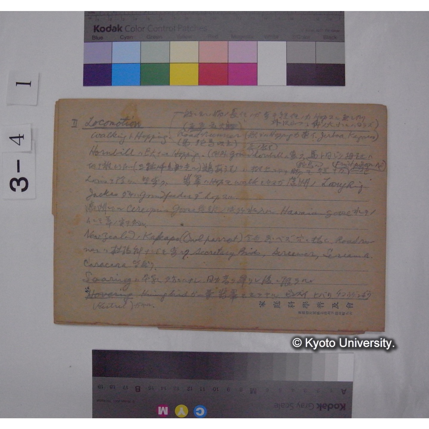 Aberrant habitat in Birds [直筆原稿] / (川村多實二) (4)