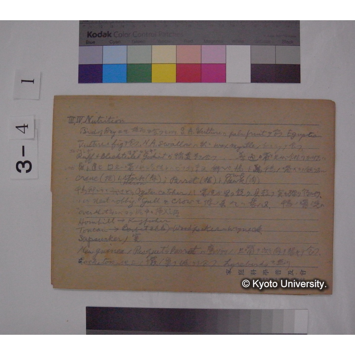 Aberrant habitat in Birds [直筆原稿] / (川村多實二) (6)