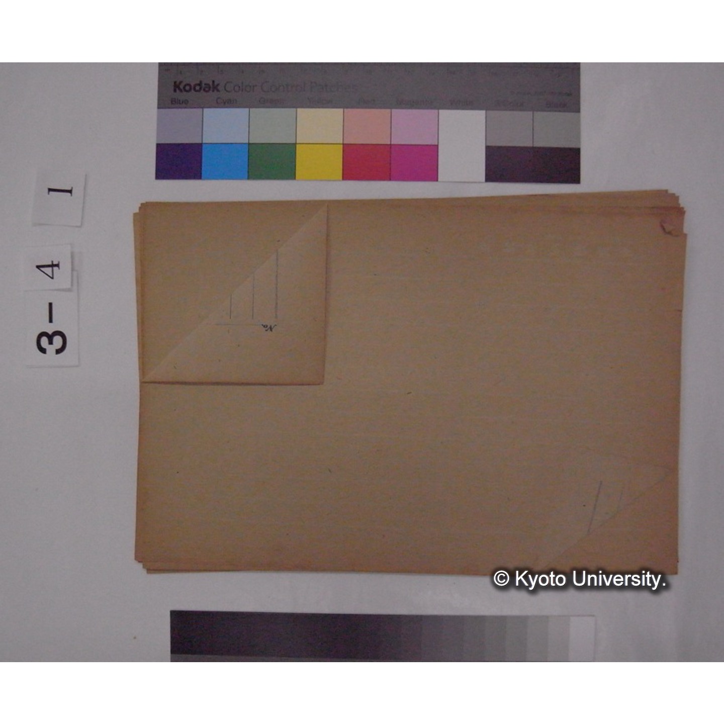 Aberrant habitat in Birds [直筆原稿] / (川村多實二) (7)