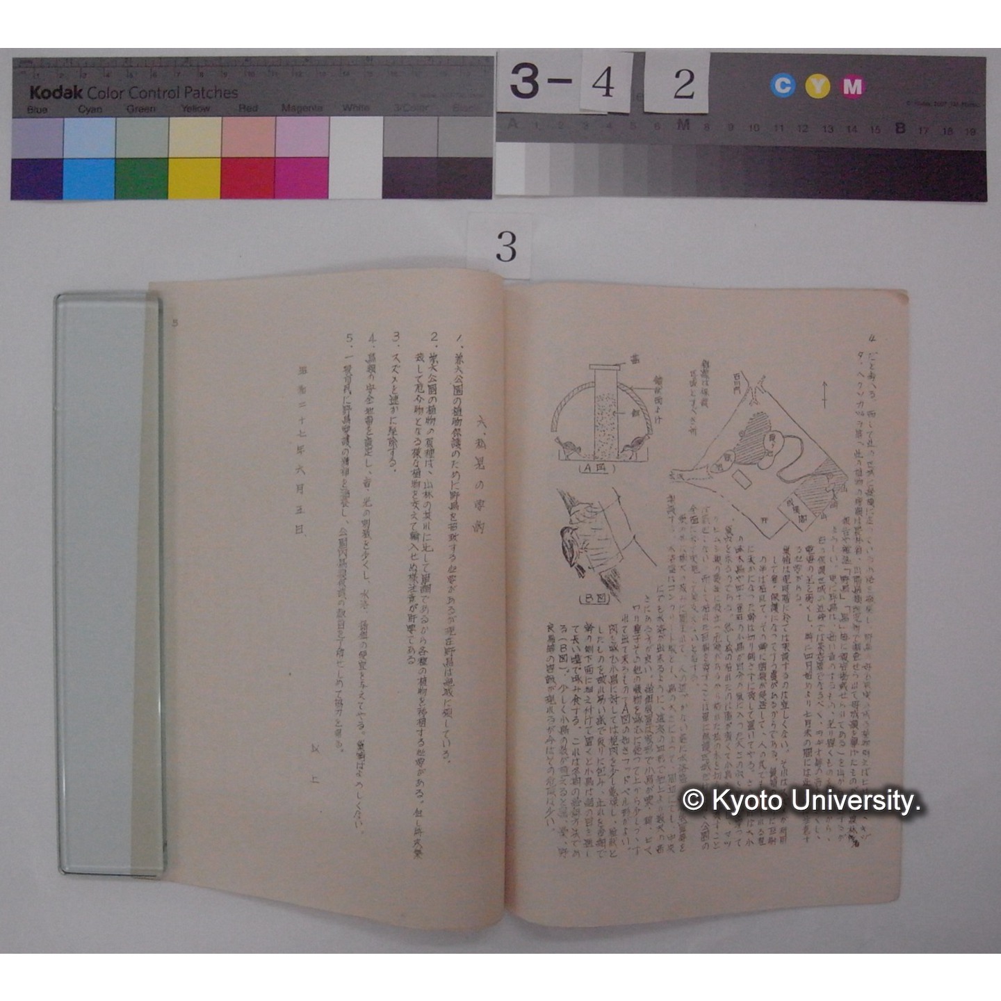 兼六公園内鳥類保護施策 / 川村多實二 (3)