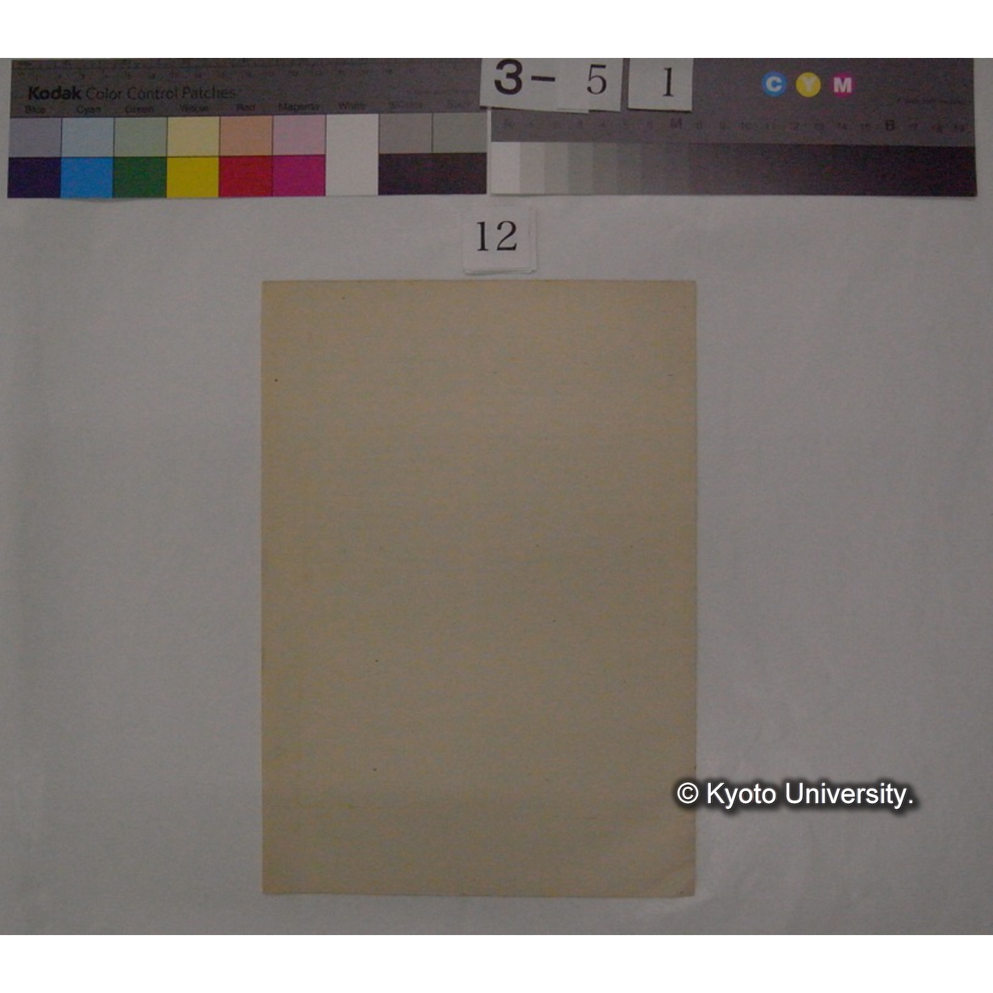 種族発展の基本法則 / 川村多實二 (日本学術協会報告; 15巻4号抜刷) (3)