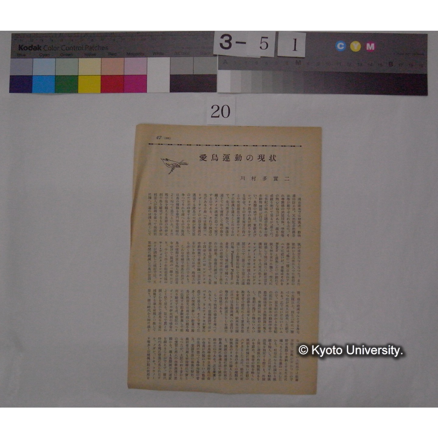 愛鳥運動の現状 / 川村多實二 (経済人; 11巻5号掲載) (1)