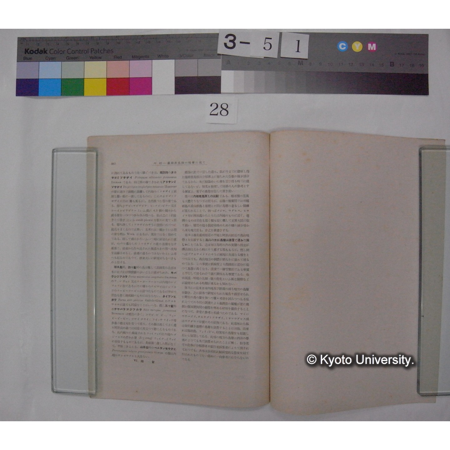 台湾産鳥類の啼声に就て / 川村多實二 (日本学術協会報告; 15巻2号抜刷) (4)
